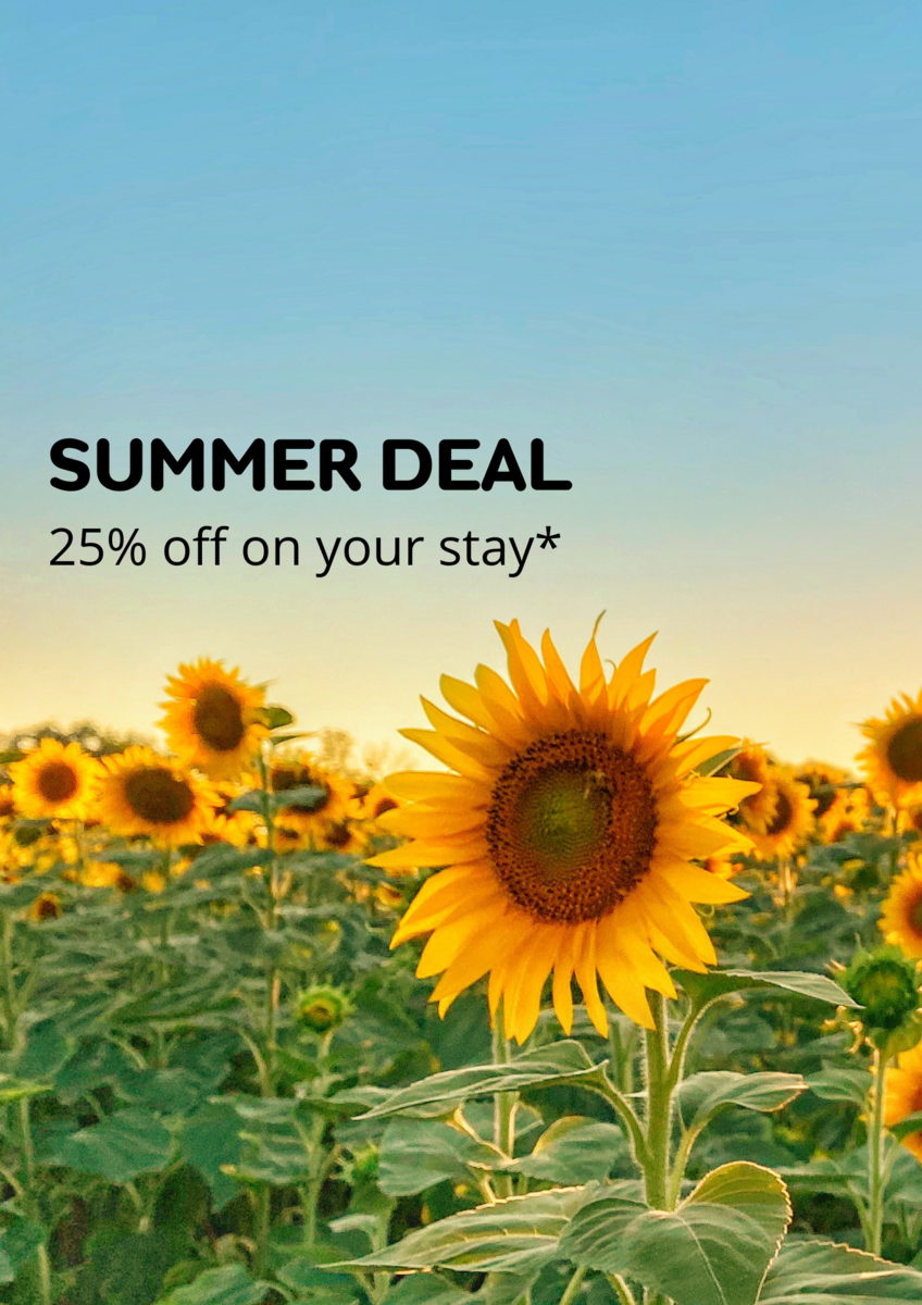 SUMMER DEAL ☀️