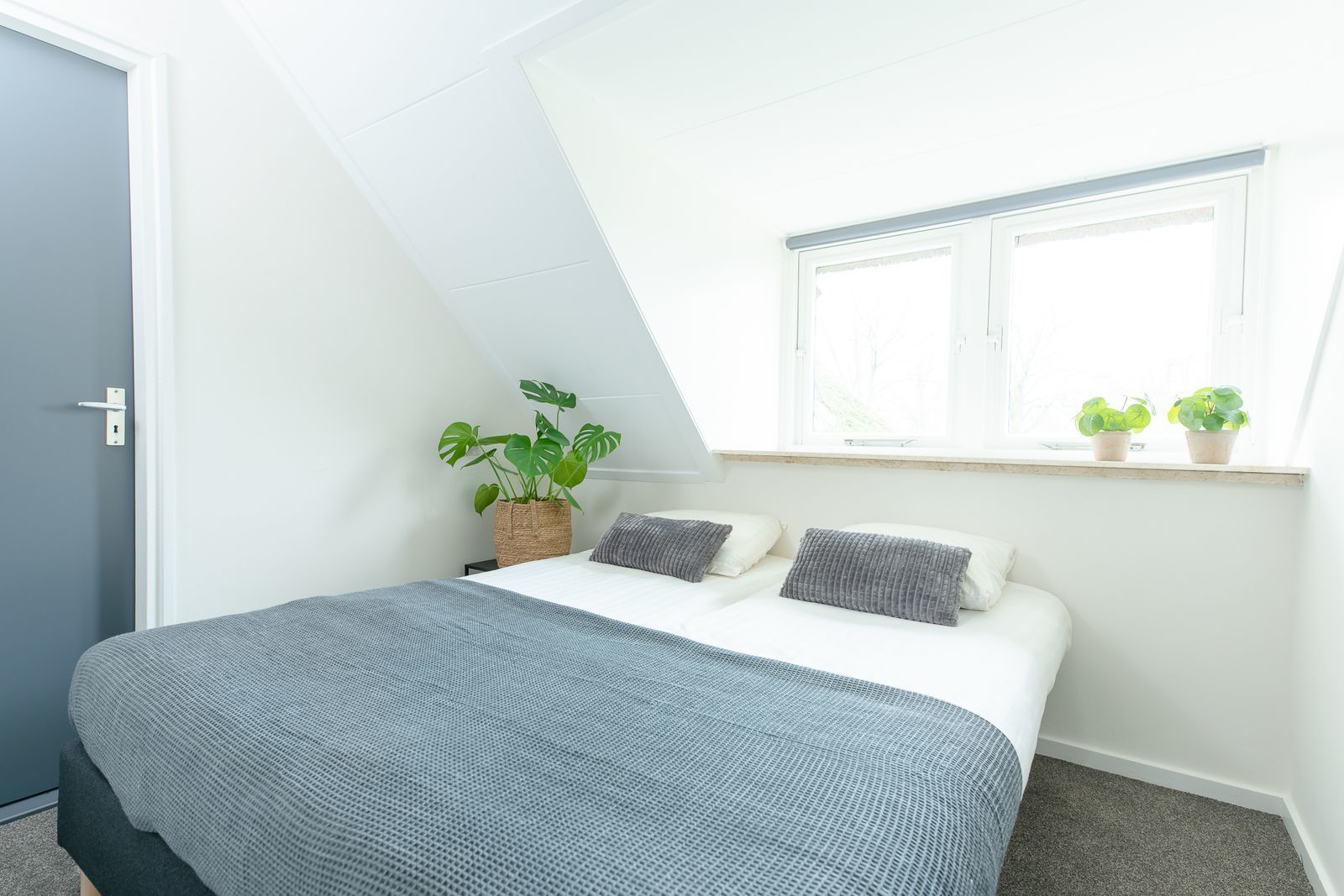 Luxe groepsaccommodatie met sauna en hottub | 14 personen