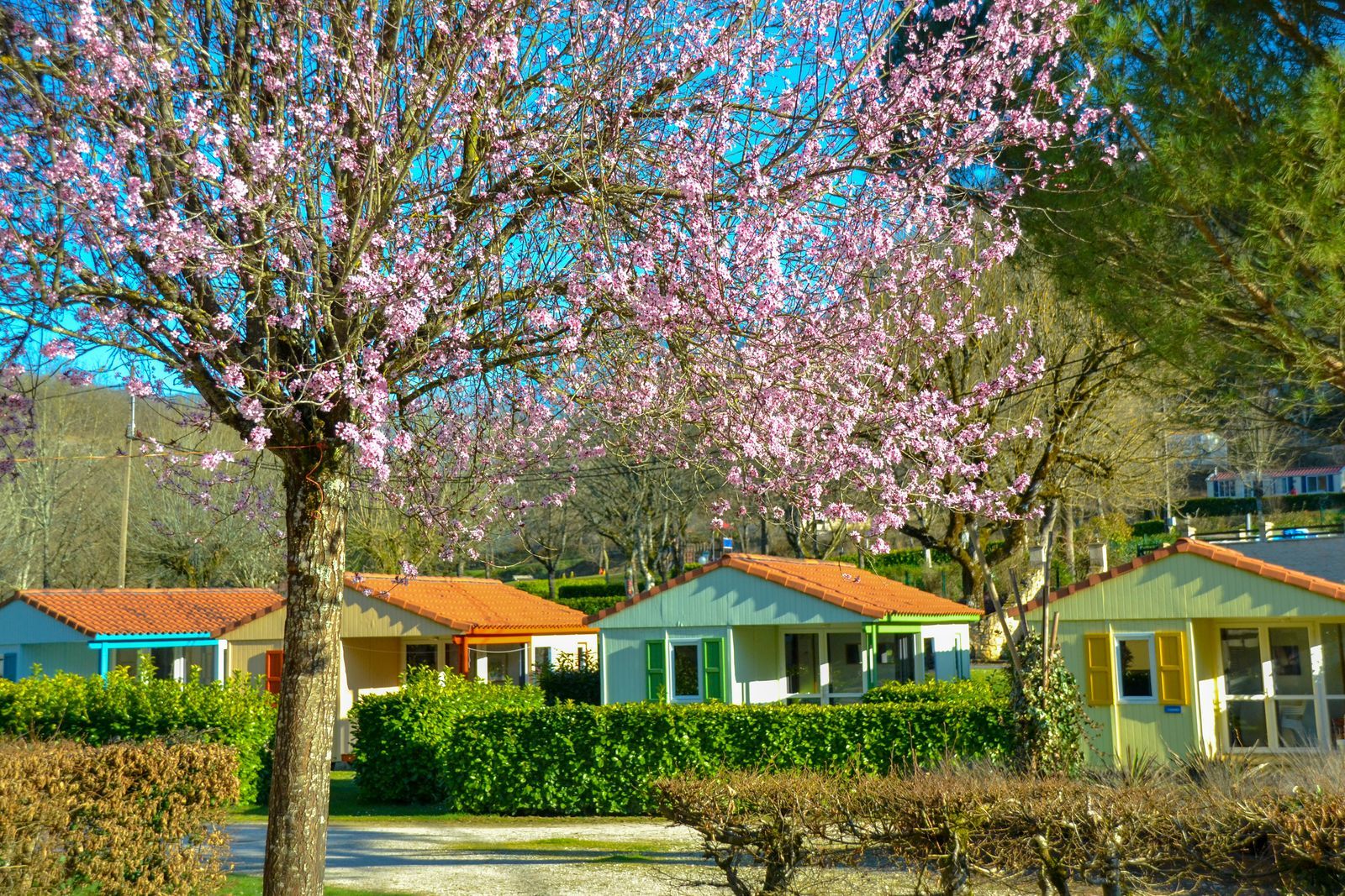 Chalet Dordogne