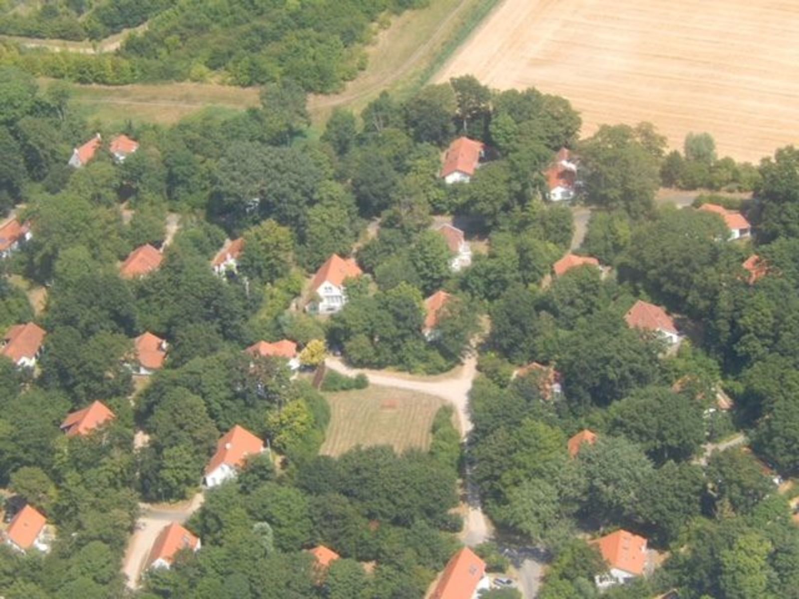 Ferienhaus - Vebenabos 14  | Dishoek "Bos en Duin"
