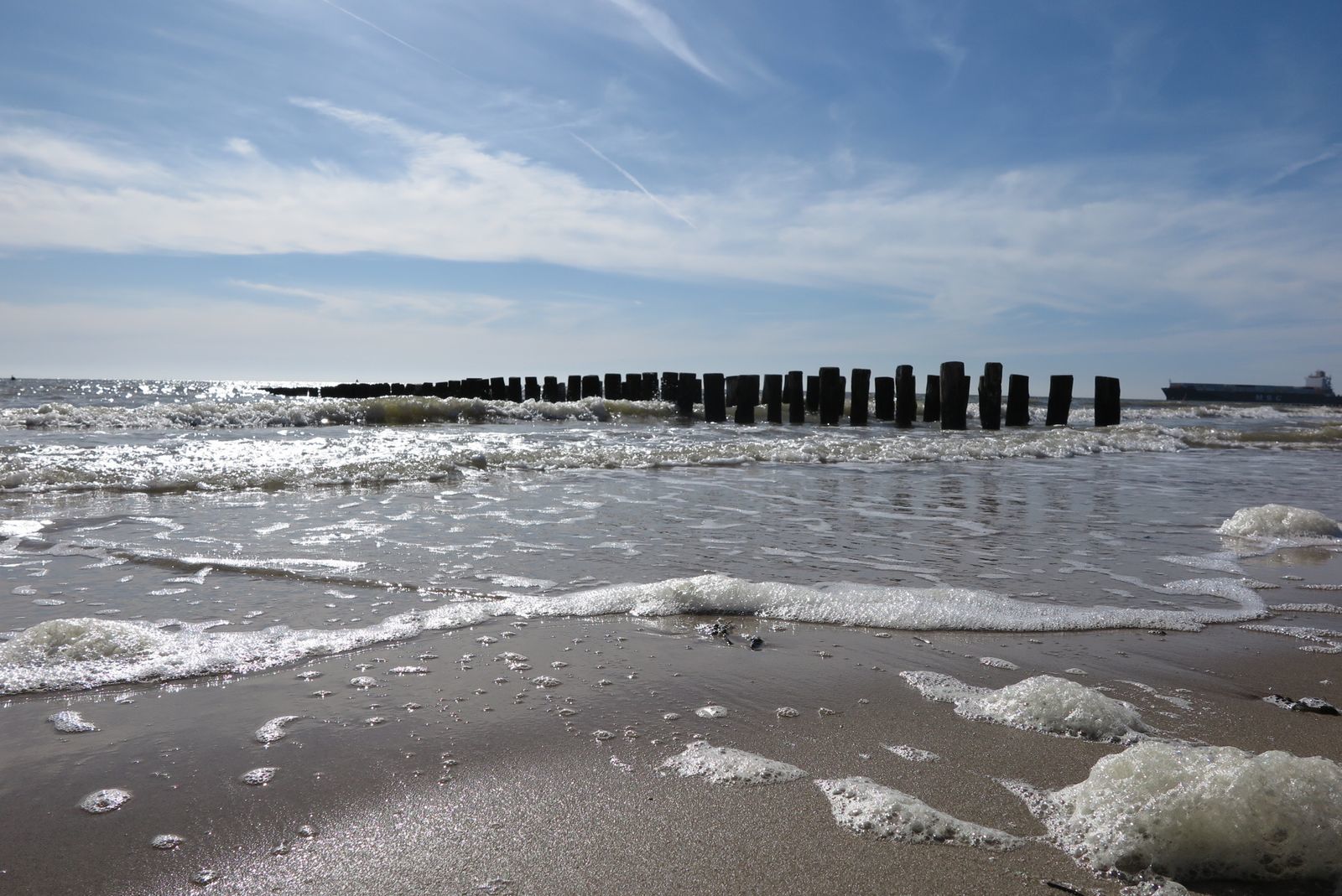 Slaapstrandhuisje - Strand dishoek 60 | Dishoek