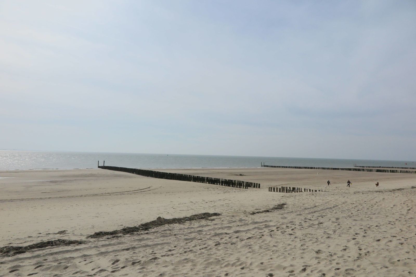 Slaapstrandhuisje - Strand dishoek 60 | Dishoek