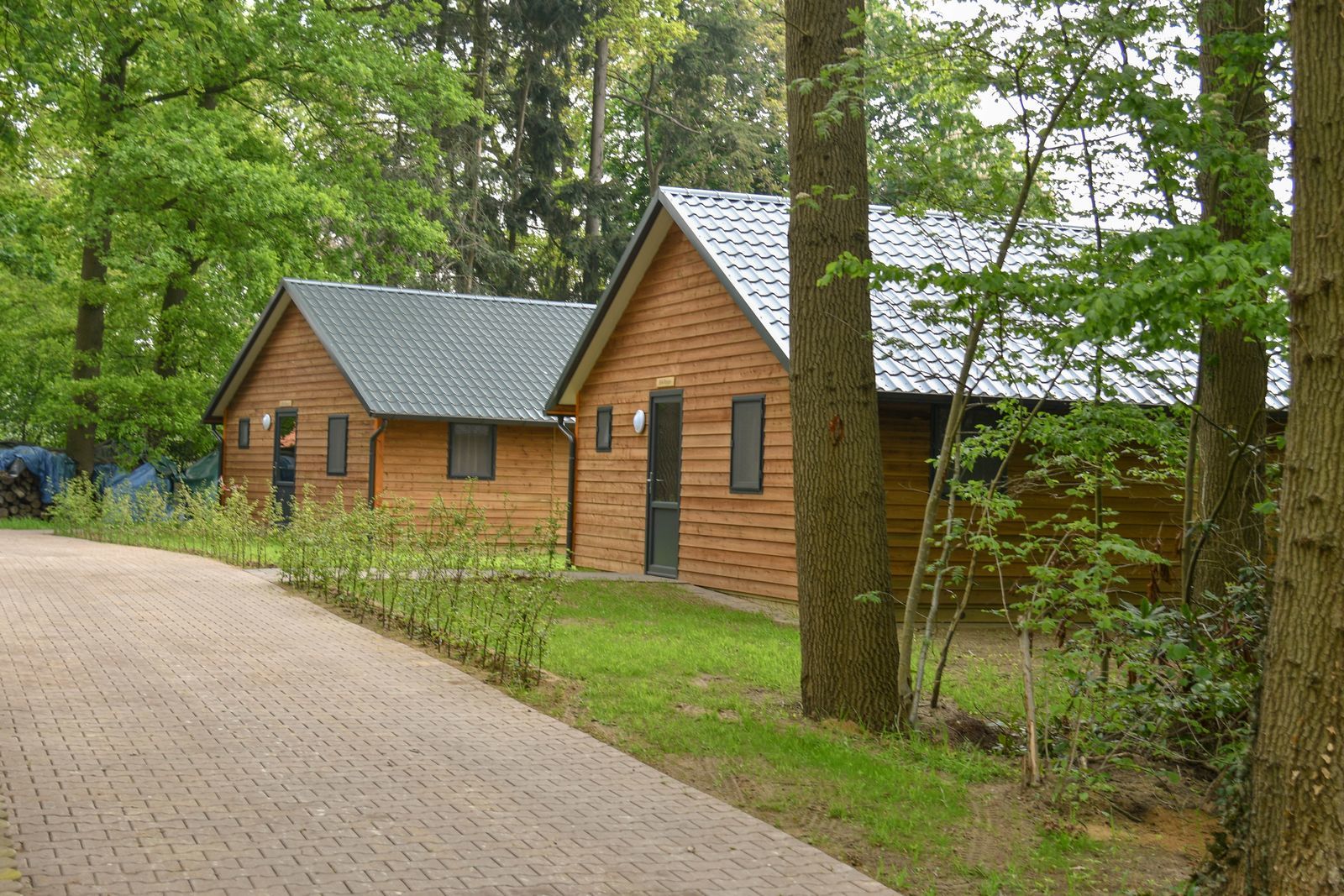 River Lodge (5 persoons)