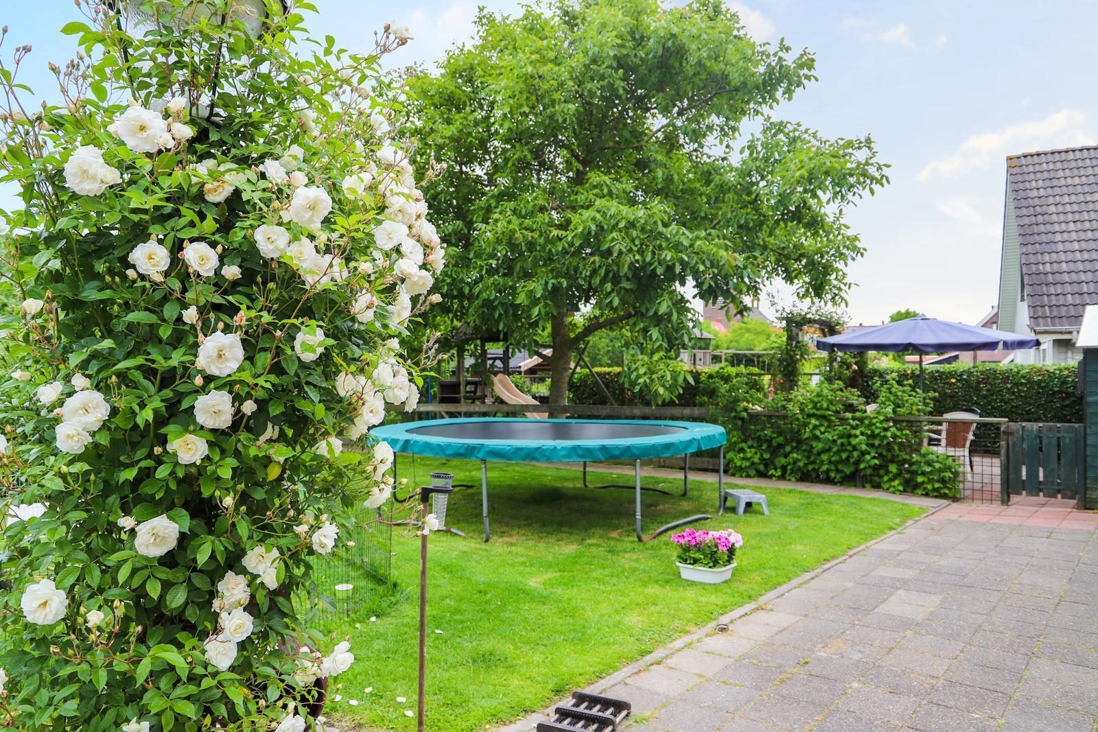 VZ736 Holiday Home Ellewoutsdijk