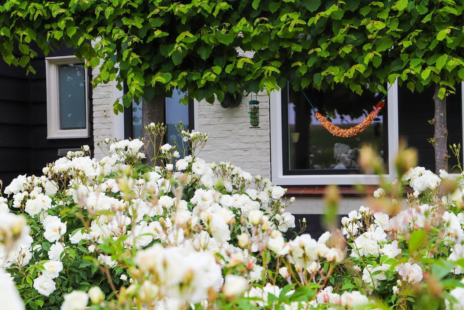 VZ736 Holiday Home Ellewoutsdijk