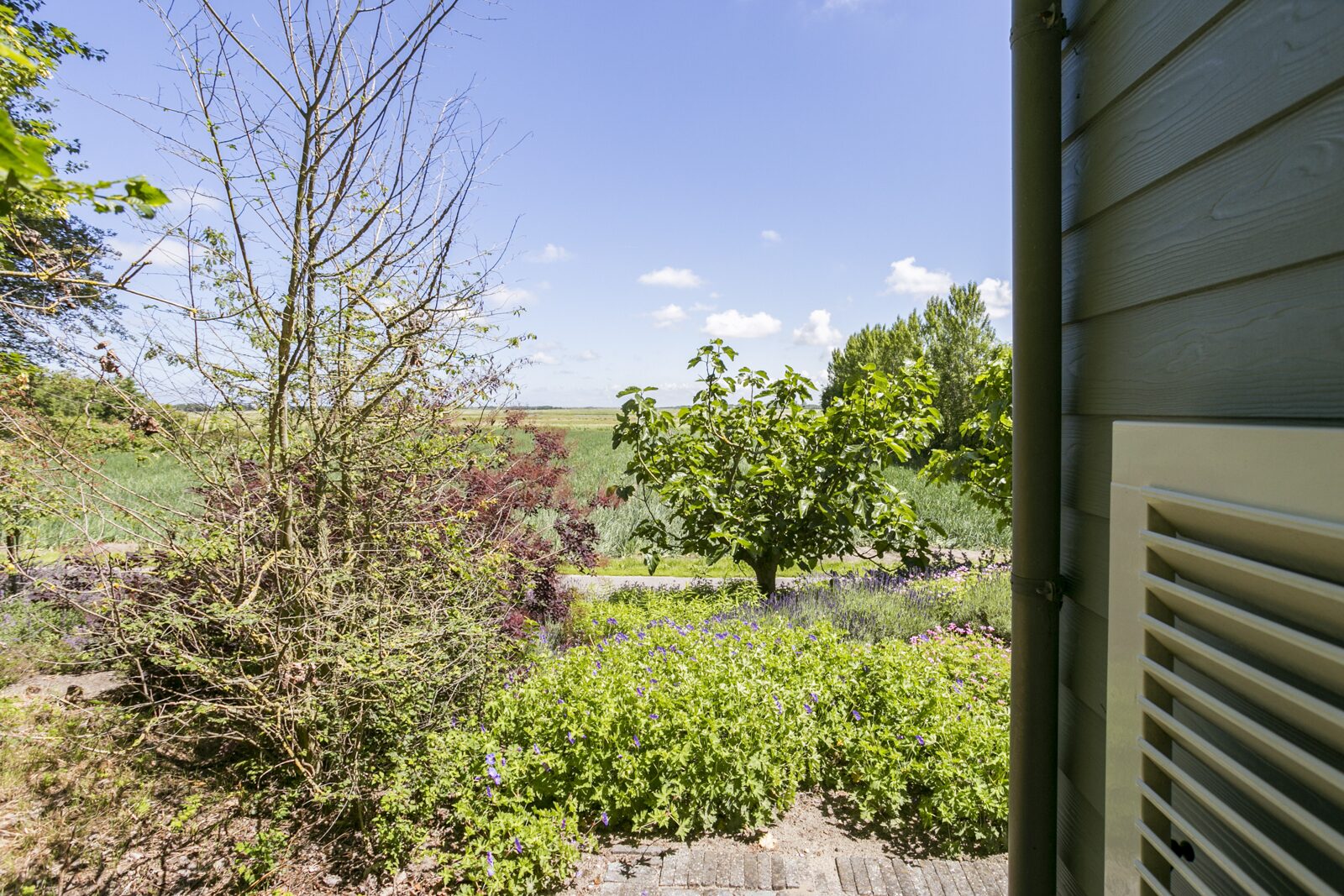Loevesteijn - Ouddorp