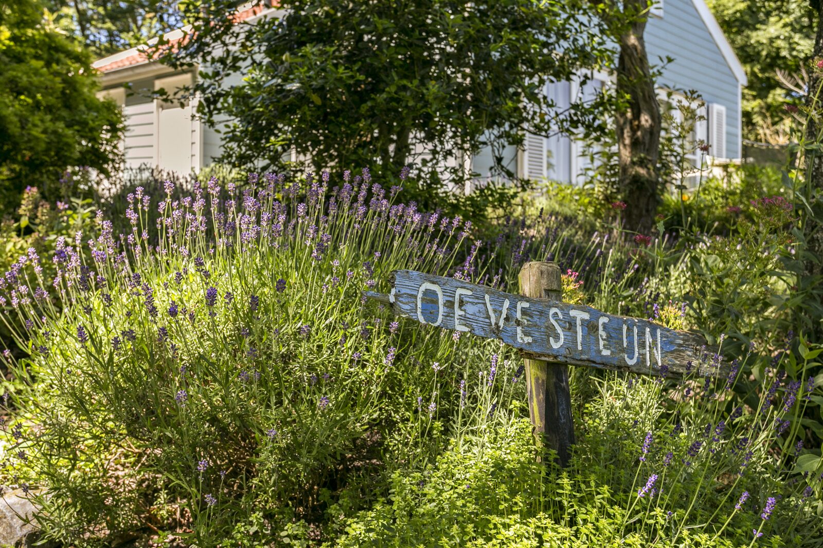 Loevesteijn - Ouddorp