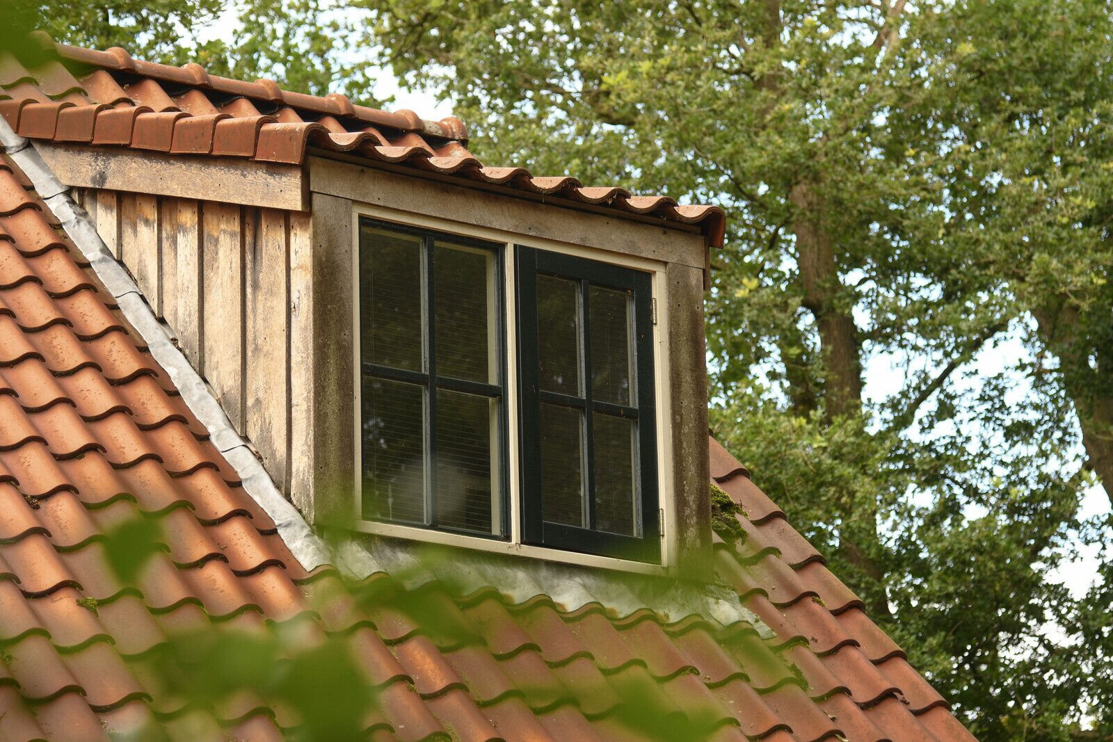 Bungalow de Vechtoever (5 persoons)