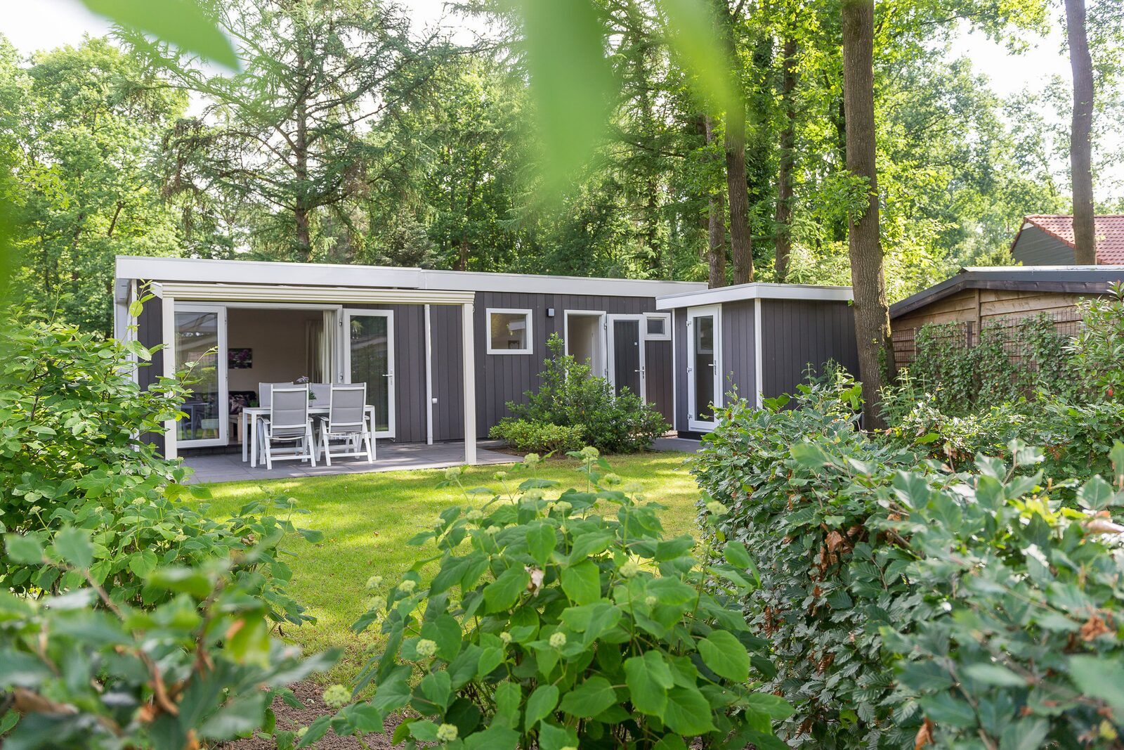 Park Lodge 4 personen