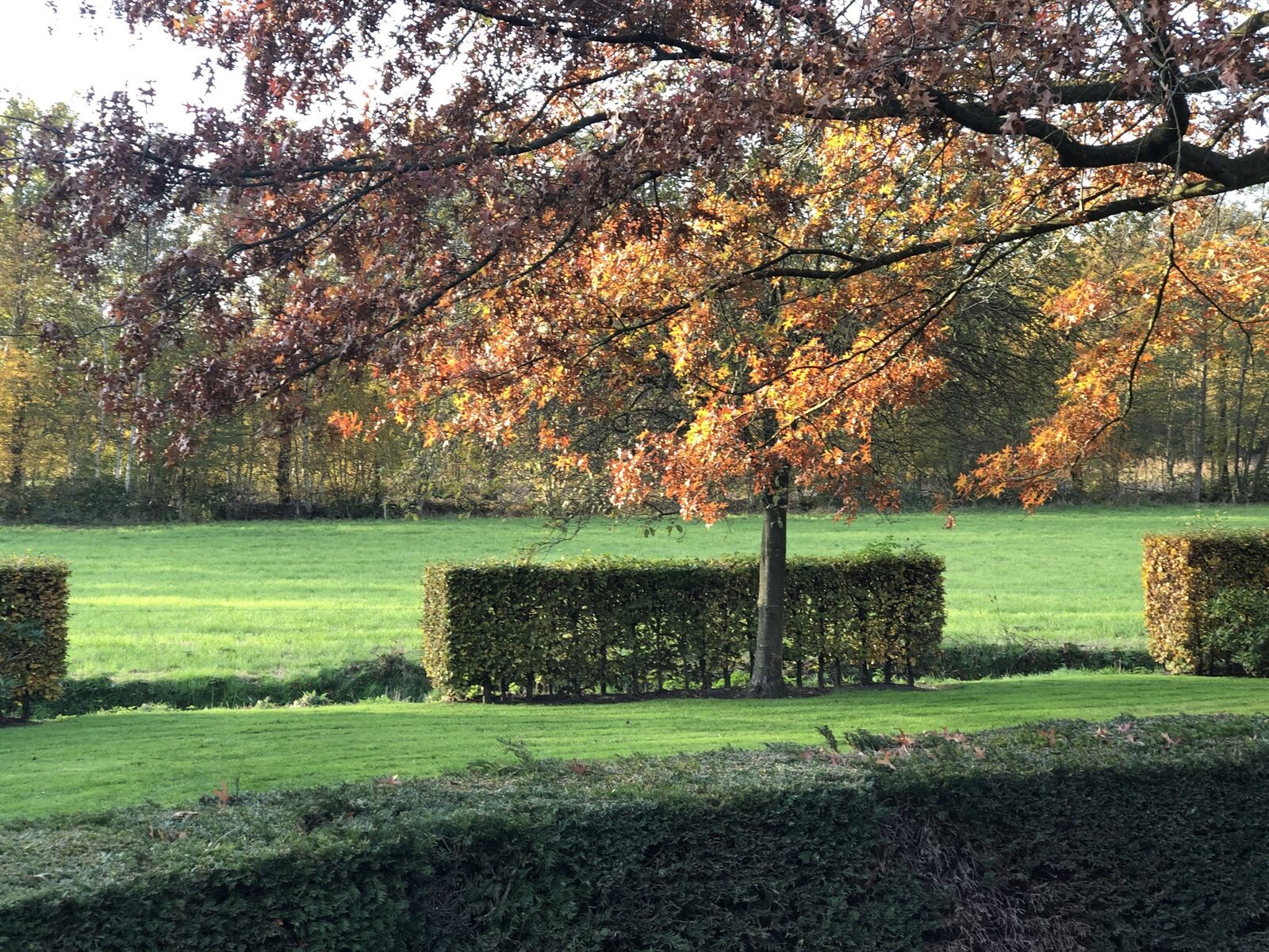 De Lindenburg 6-persoons