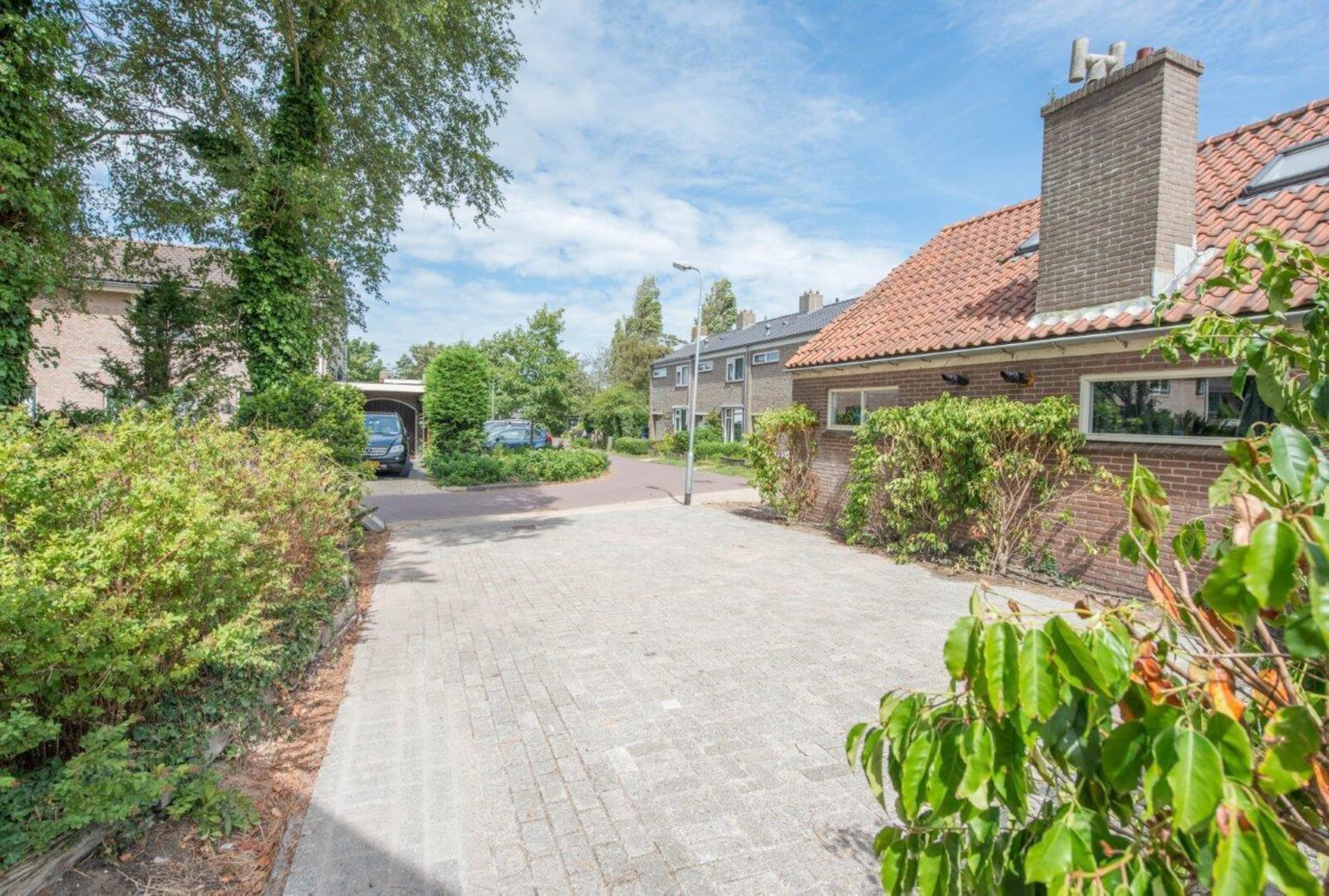 De Grote Stern