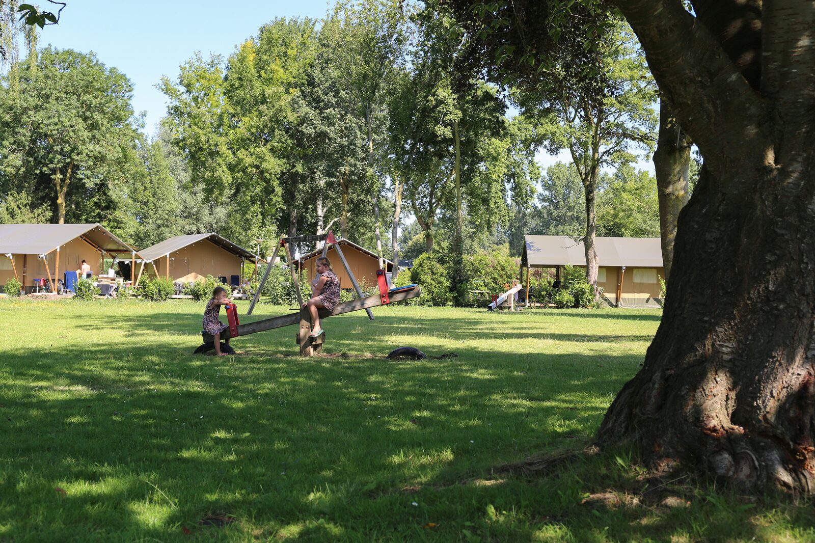 Safari Tent | 6 persons