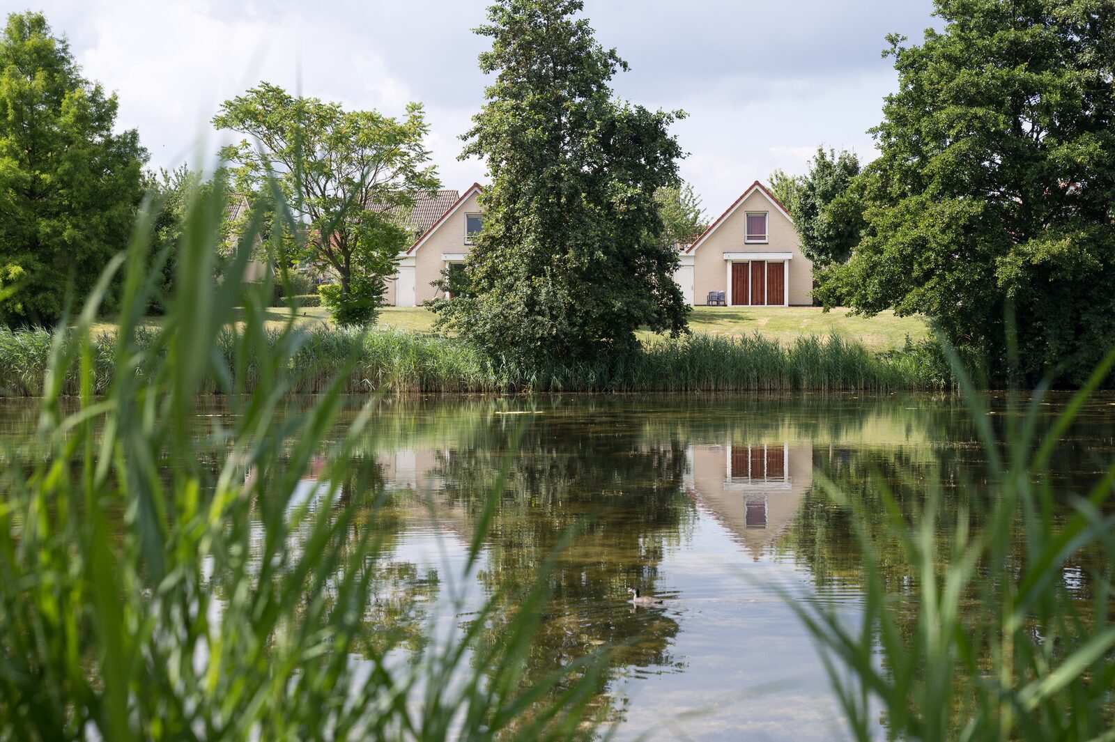 Fen house