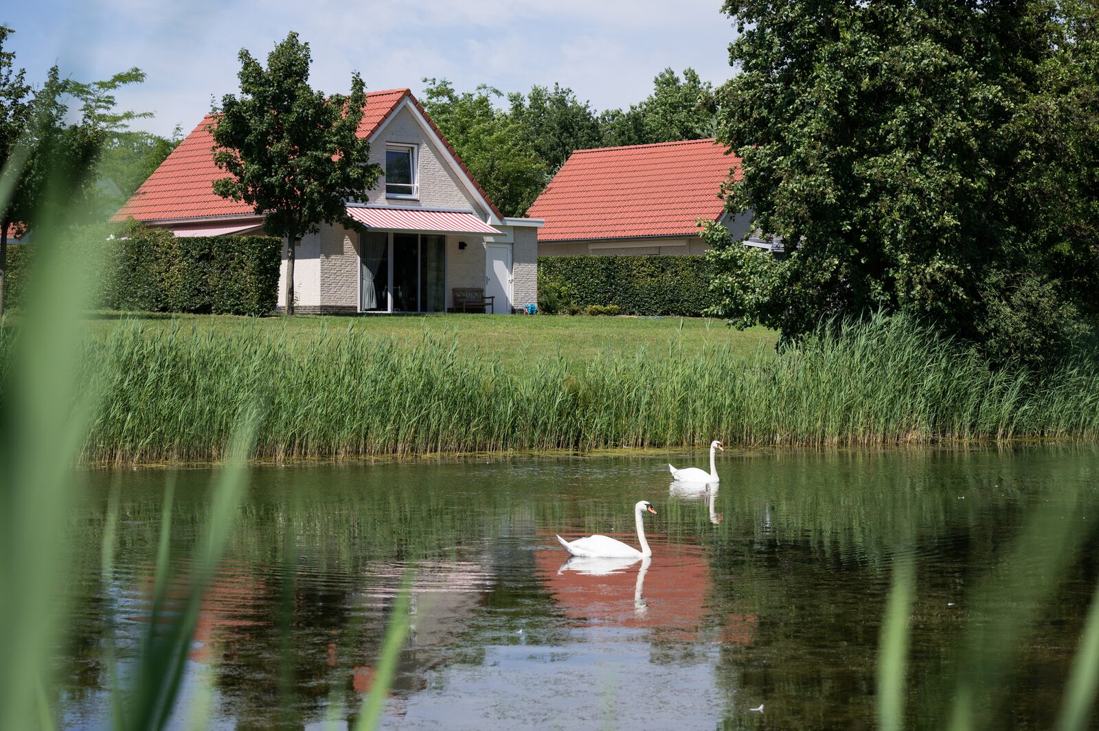 Fen house