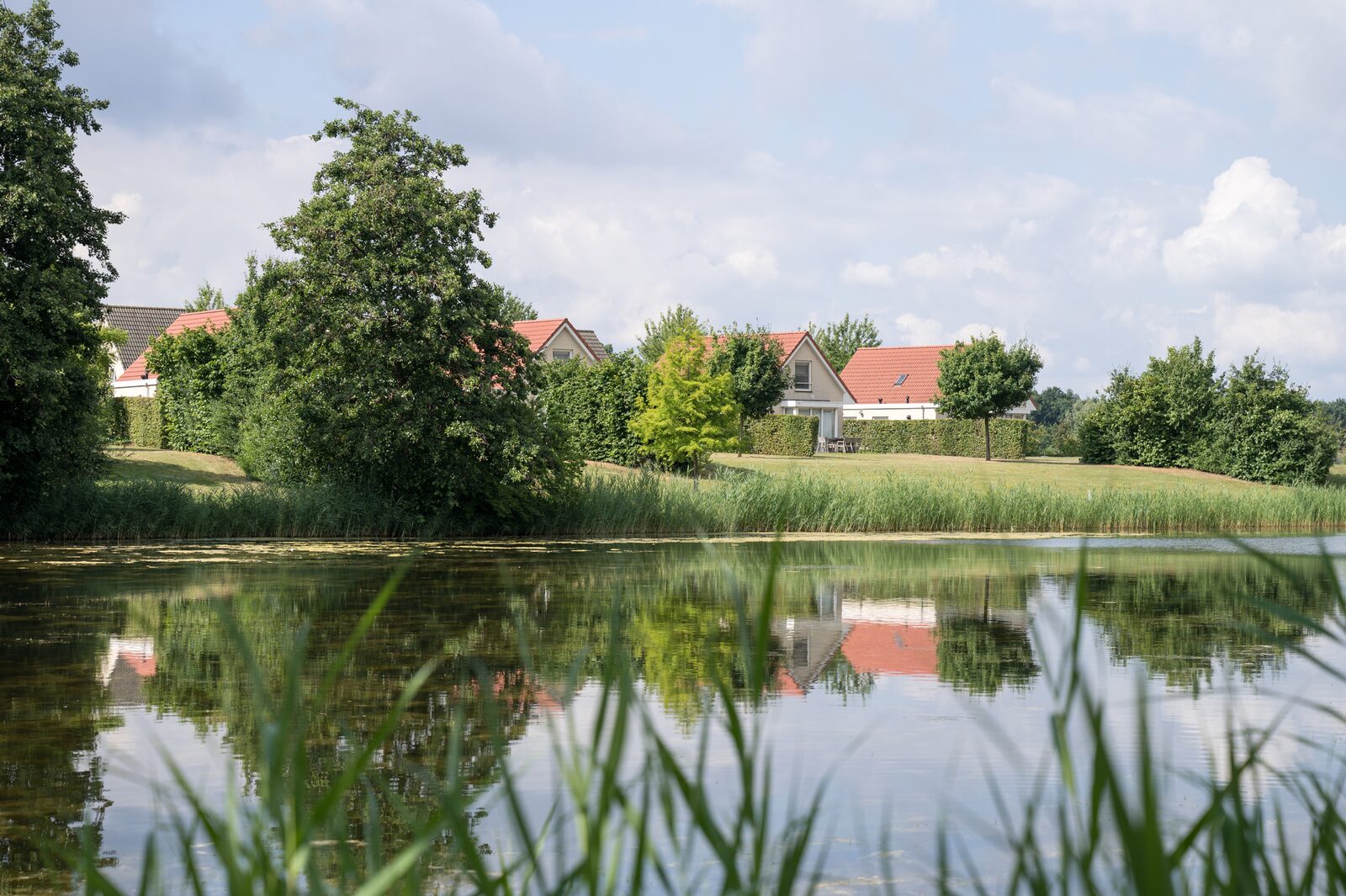 Fen house