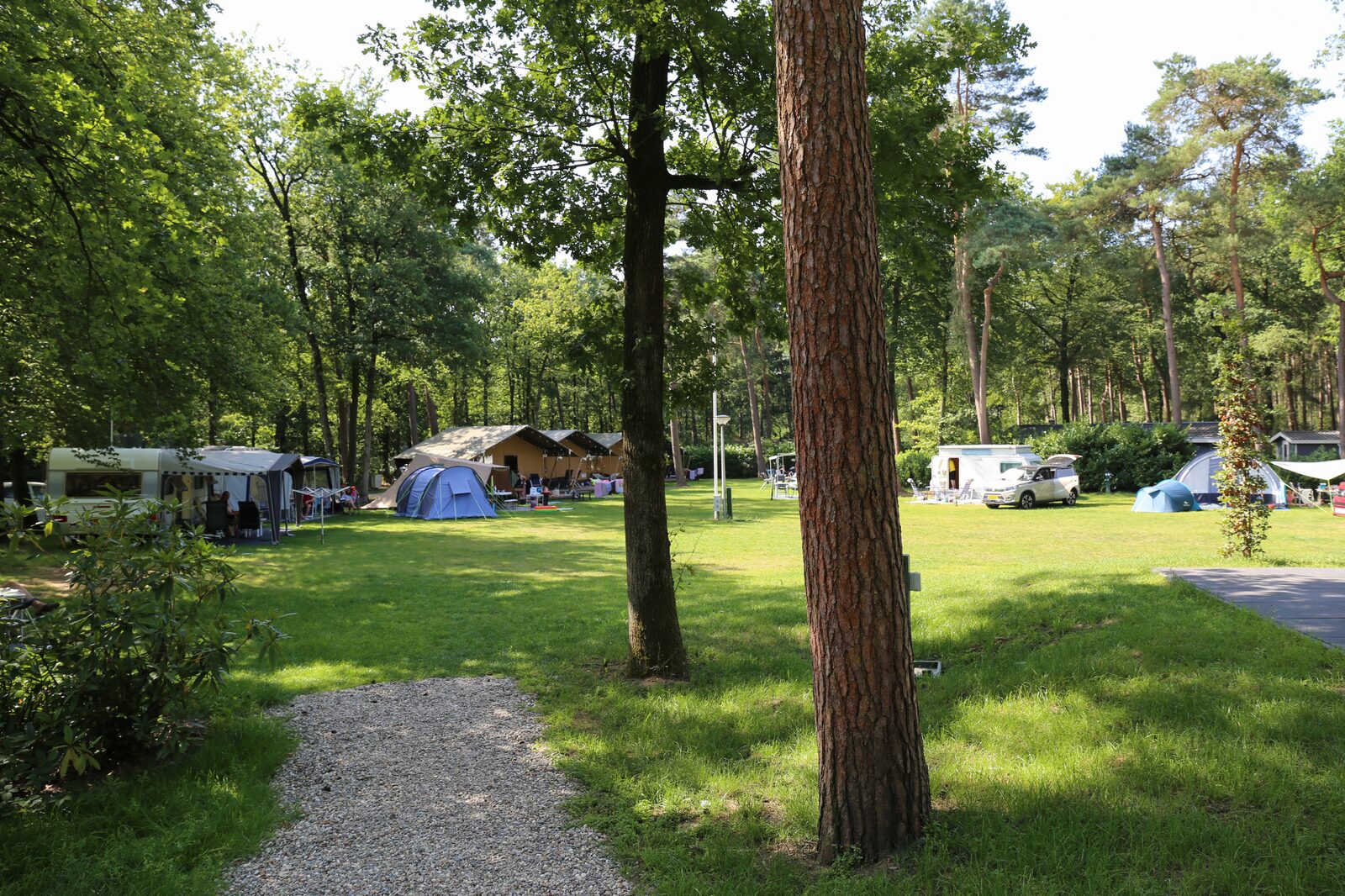 A-field