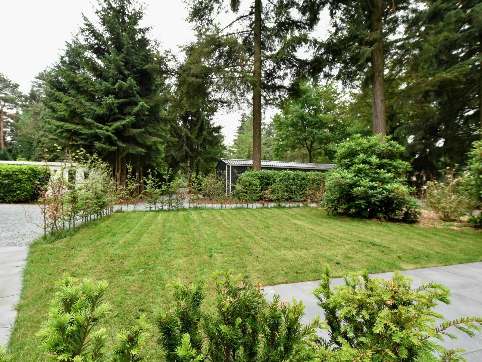 Chalet Boszicht | 4 Pers.