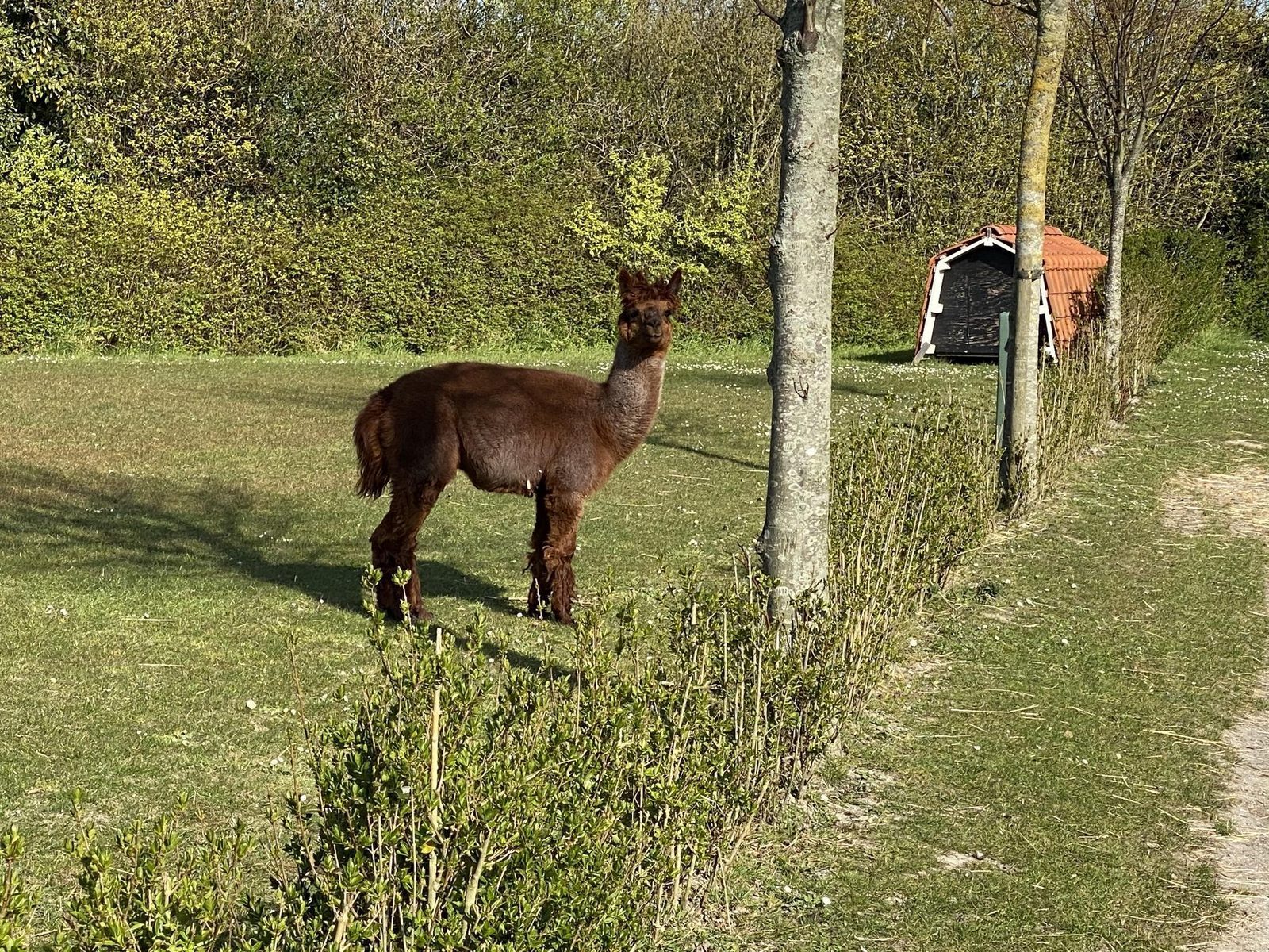 VZ277 Blokhut Ellemeet