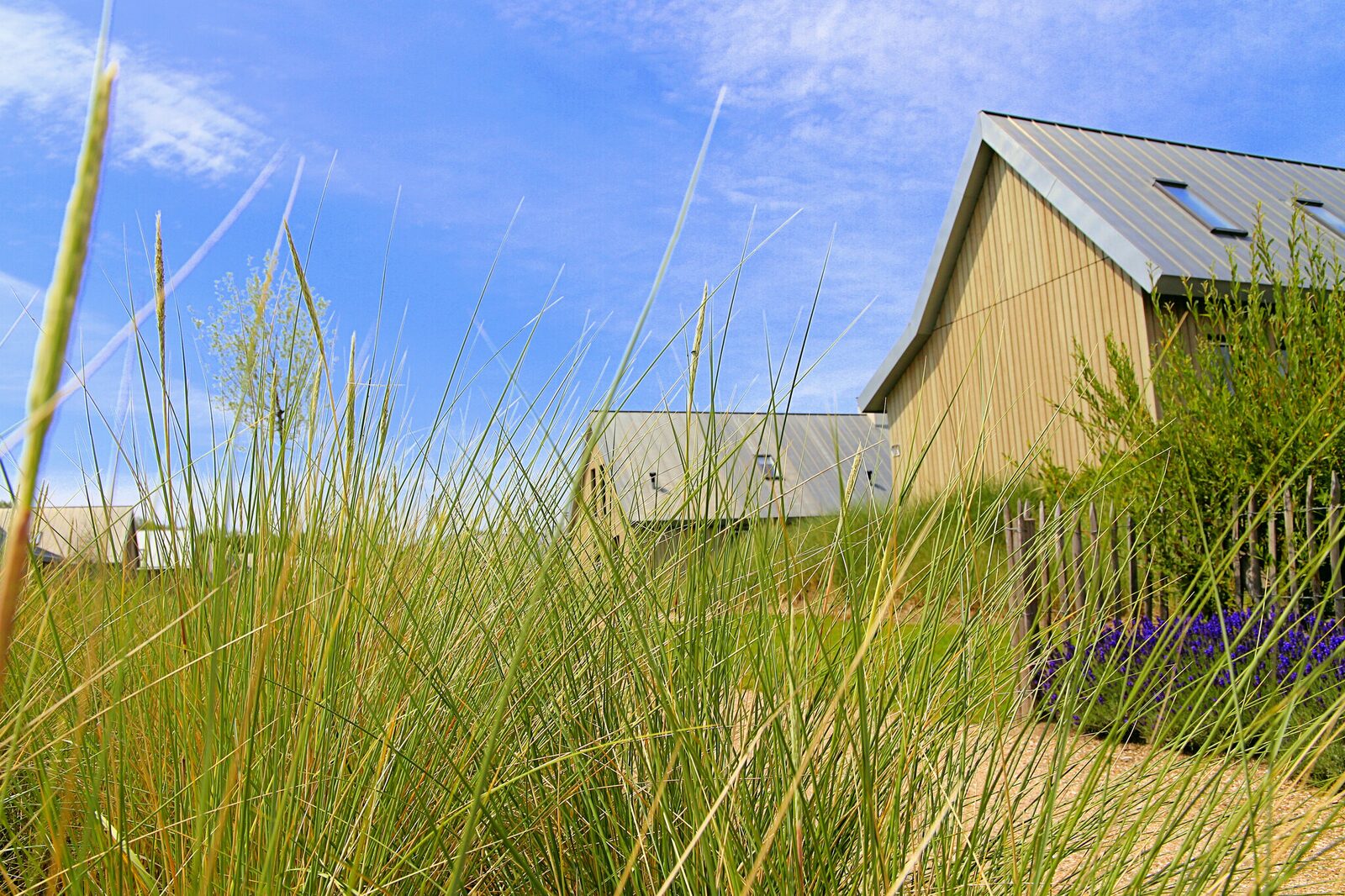 Villa Oesterdam Comfort | 6 Personen