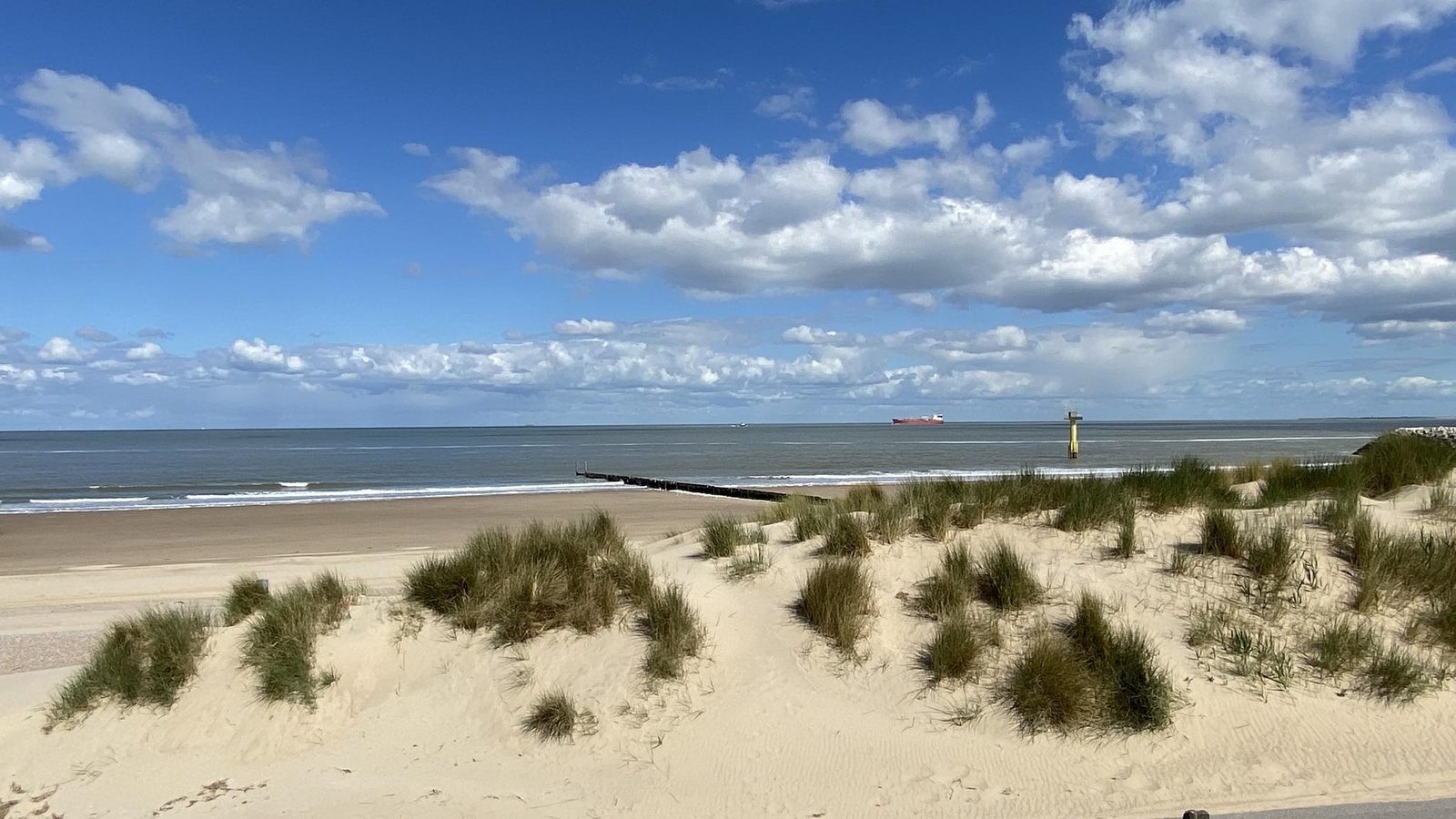 VZ194 Appartement Cadzand