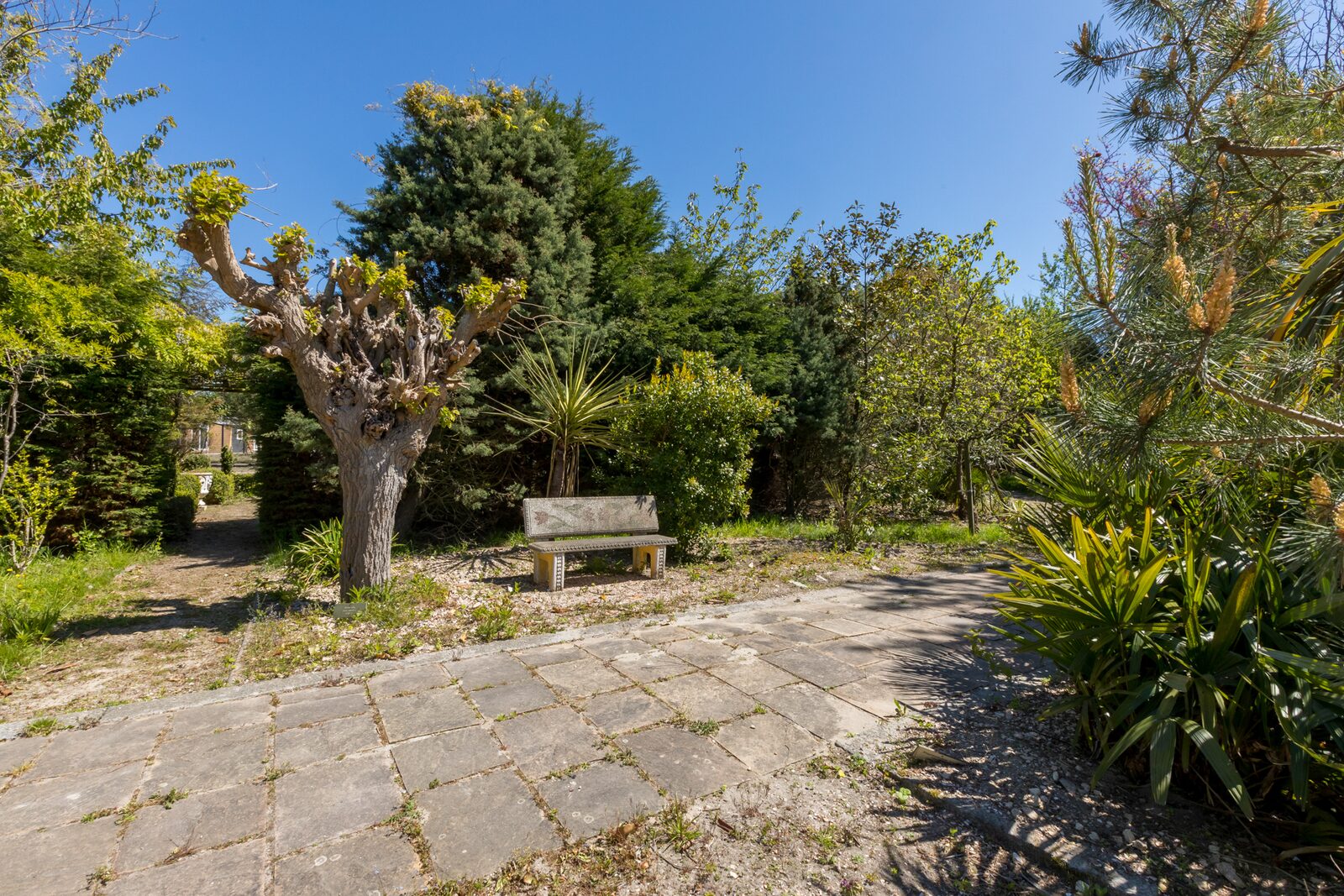 Chalet 4 Personen - Ferienpark Fort den Haak | Vrouwenpolder
