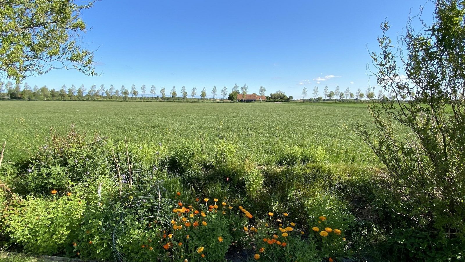 VZ583 Studio Vrouwenpolder