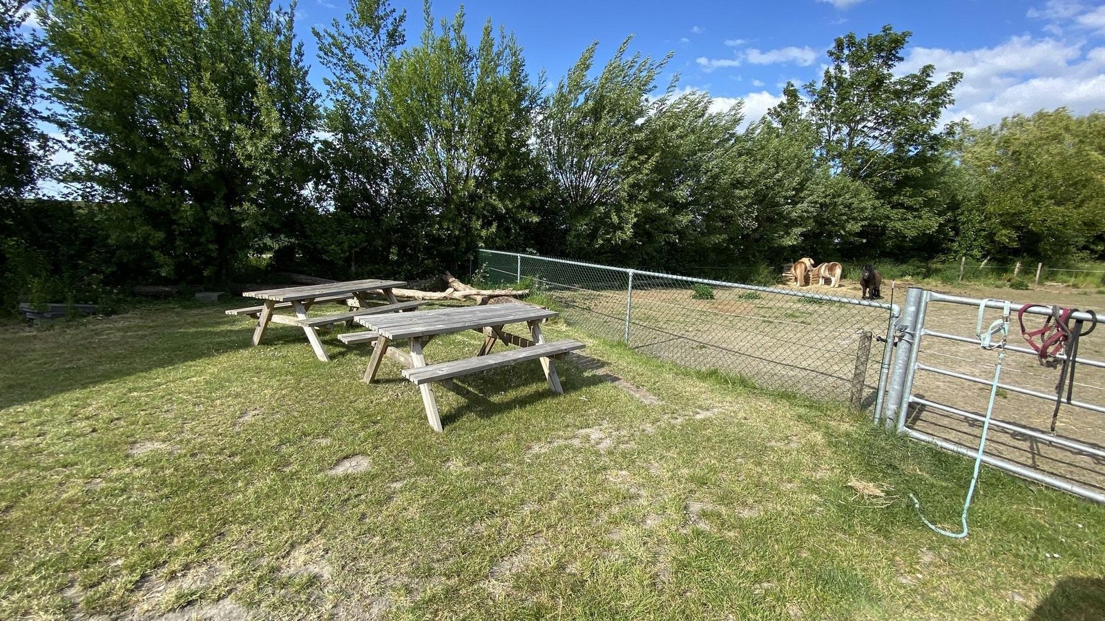 VZ850 Holiday chalet Ossenisse