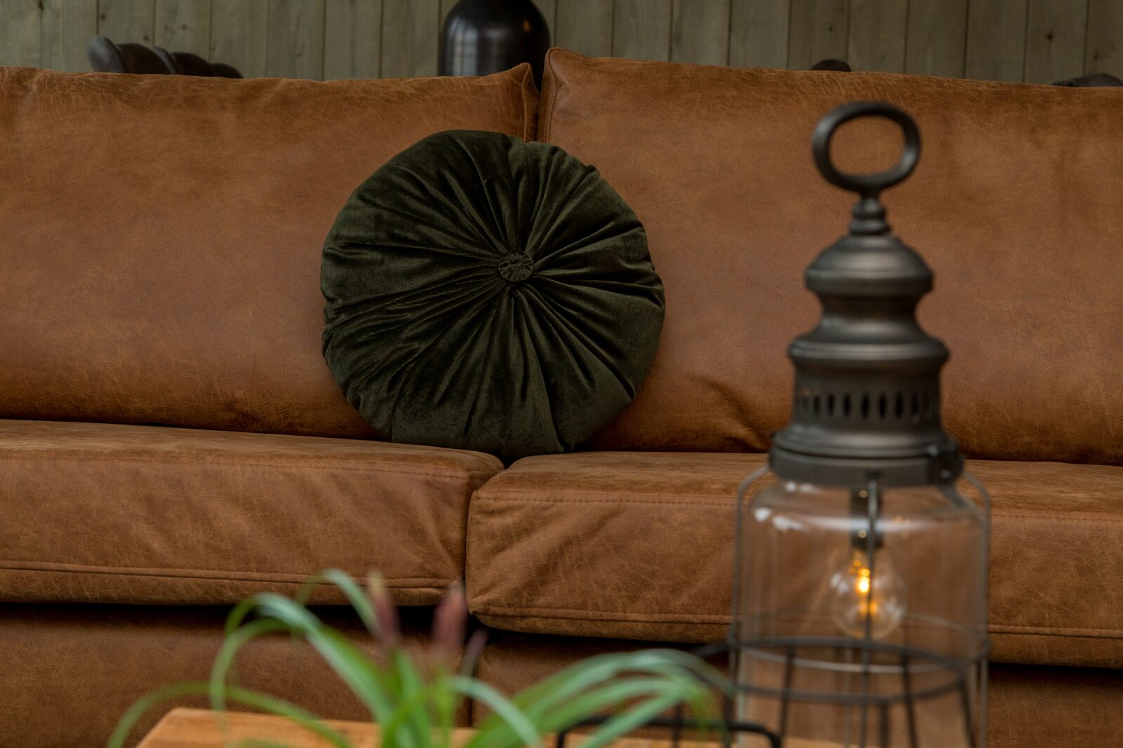 Ferienhaus - Vroondijk 2 | Vrouwenpolder Zeebloesempje