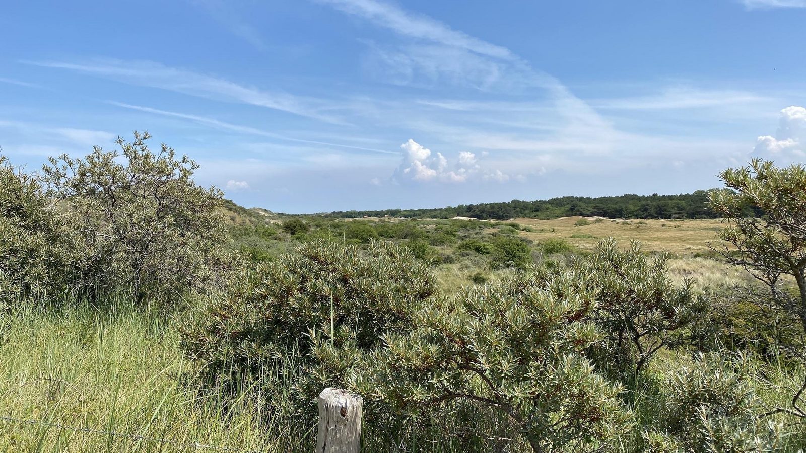 VZ804 Vakantiechalet Arend 1833 Renesse