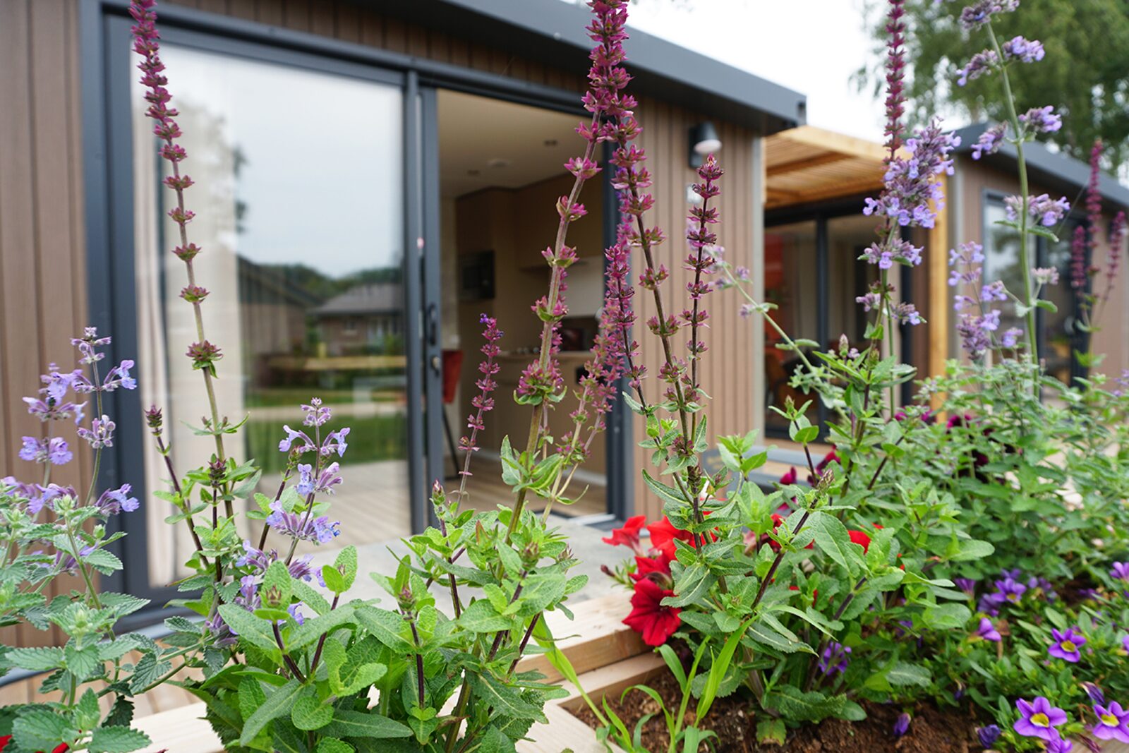 Hotellodge | 2 + 2 personen