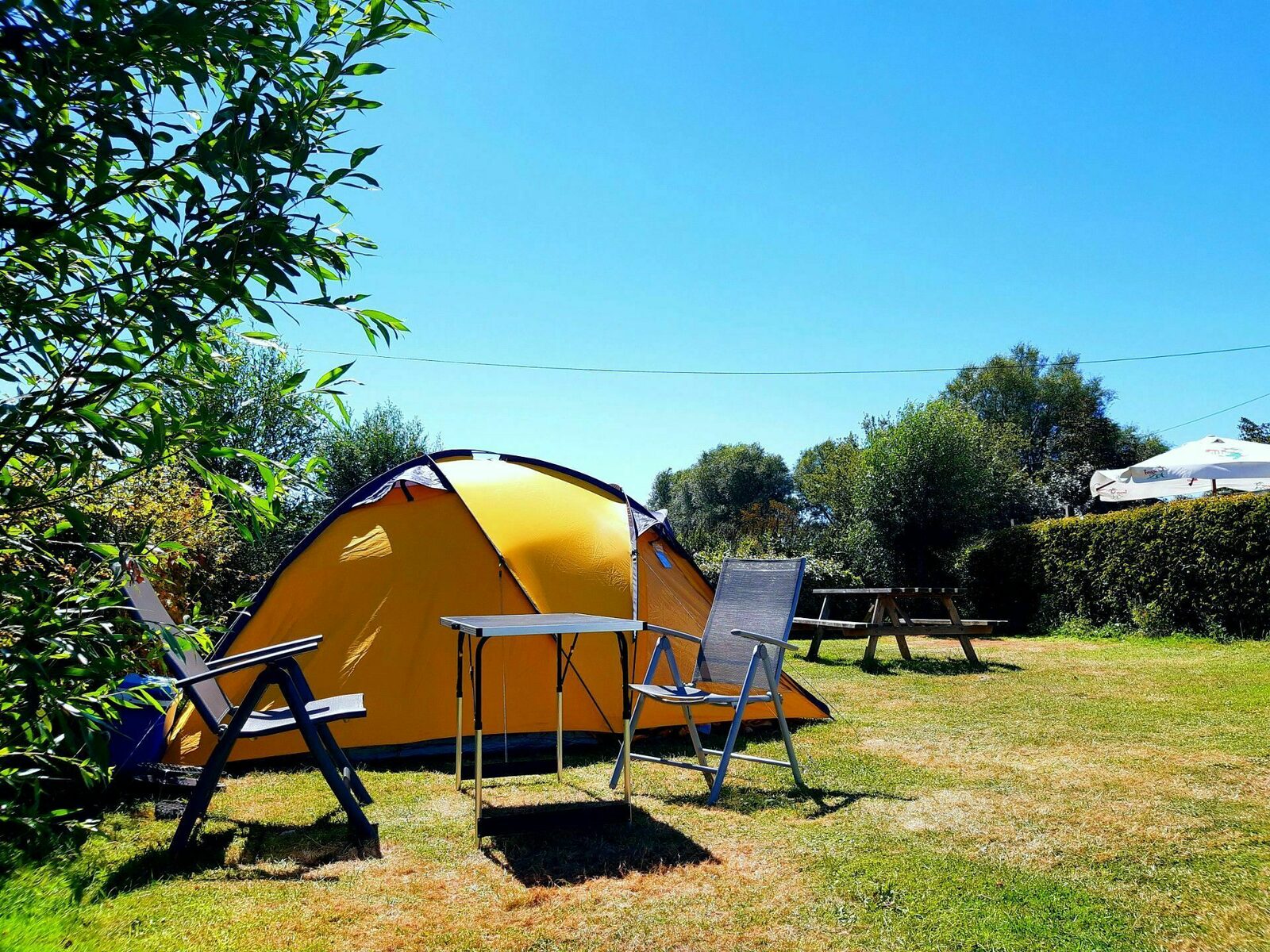 Tent meadow