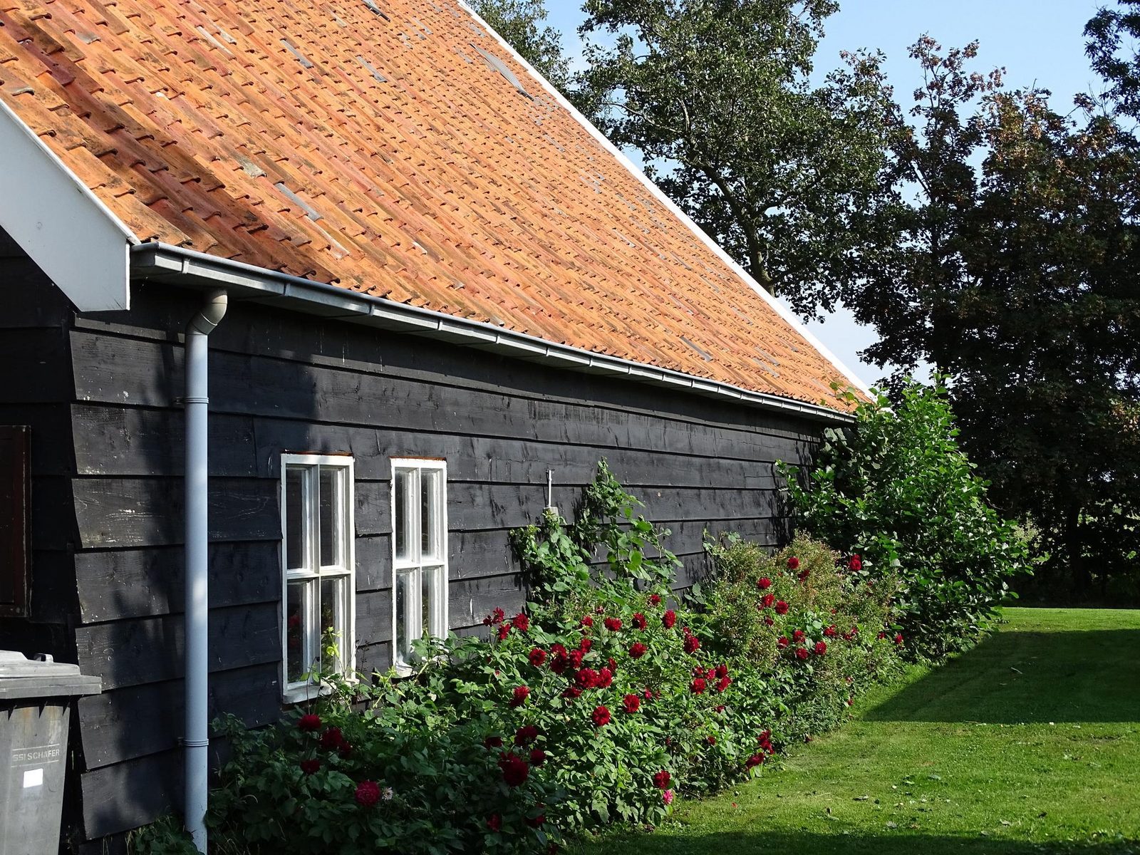 VZ890 Vakantiehuis in Renesse