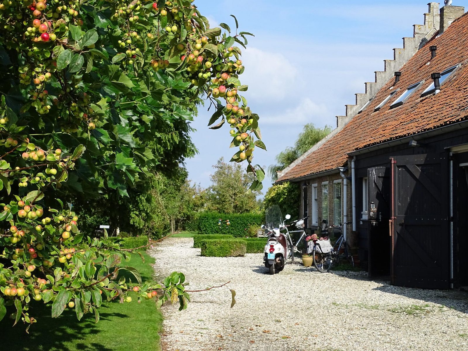 VZ890 Ferienhaus in Renesse