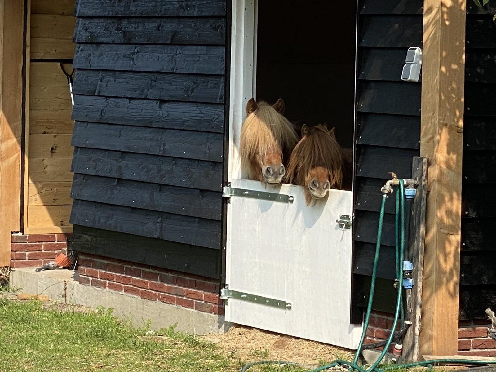 VZ890 Vakantiehuis in Renesse