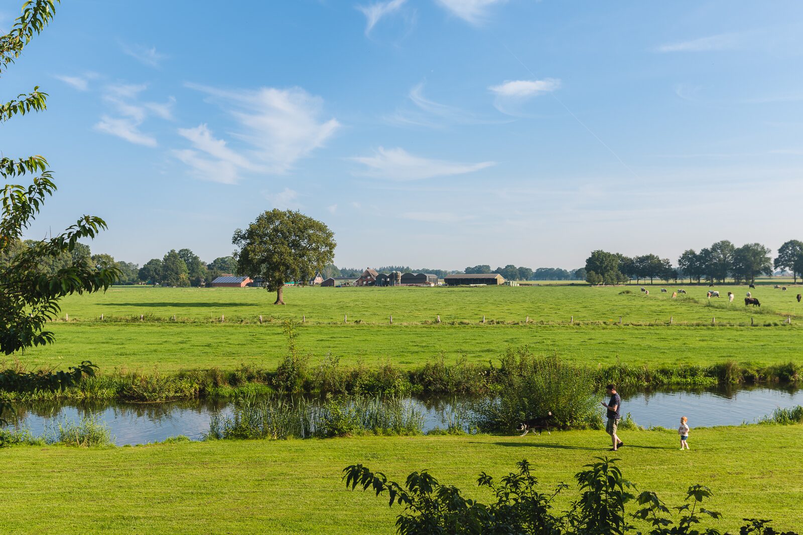 Fluss Lodge | 4 Personen