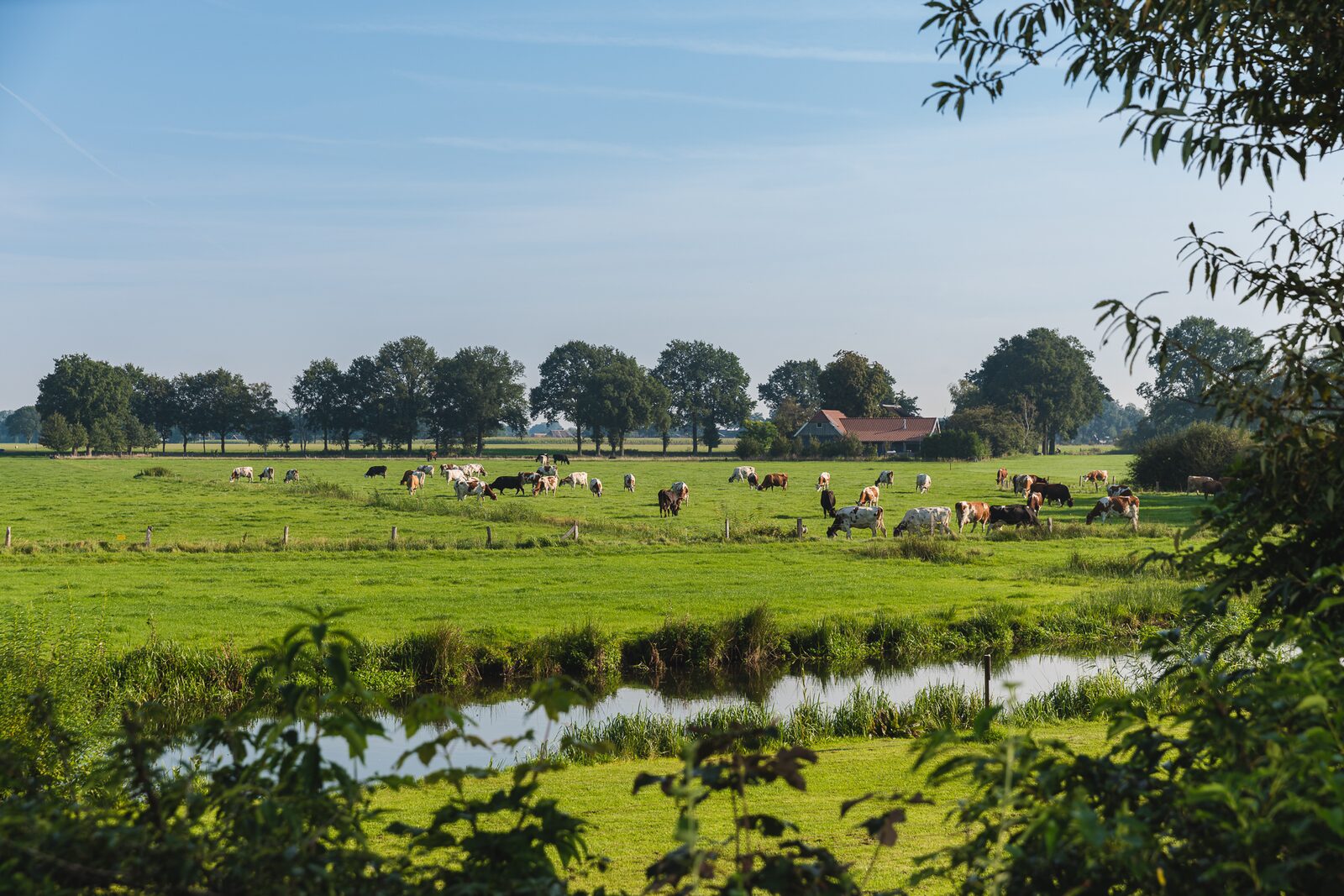 Fluss Lodge | 4 Personen