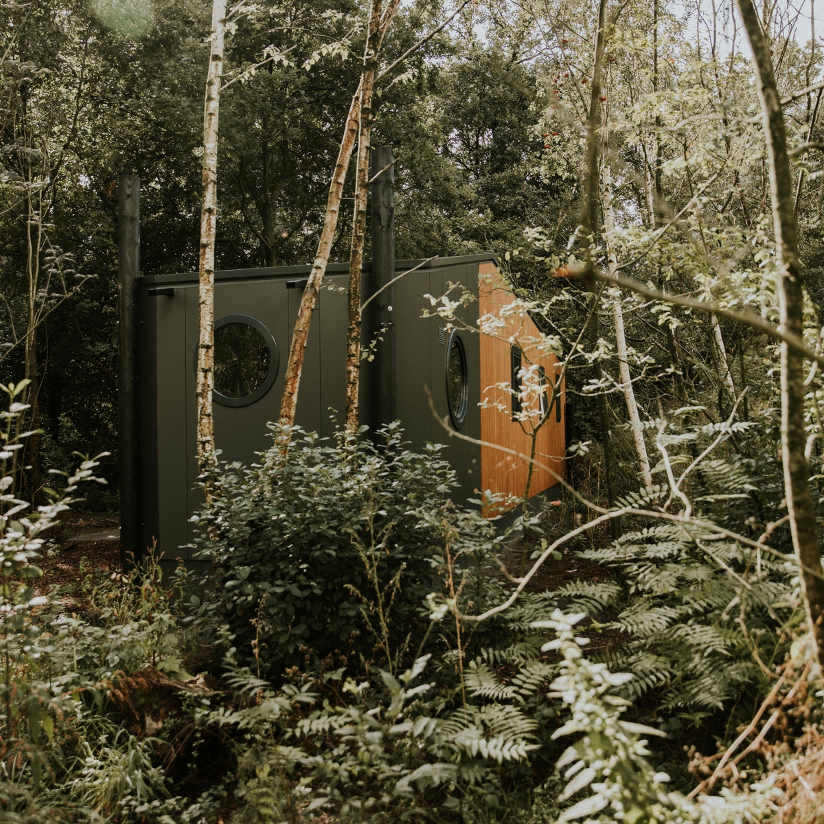 Happy bee lodge met hottub | 5 persoons