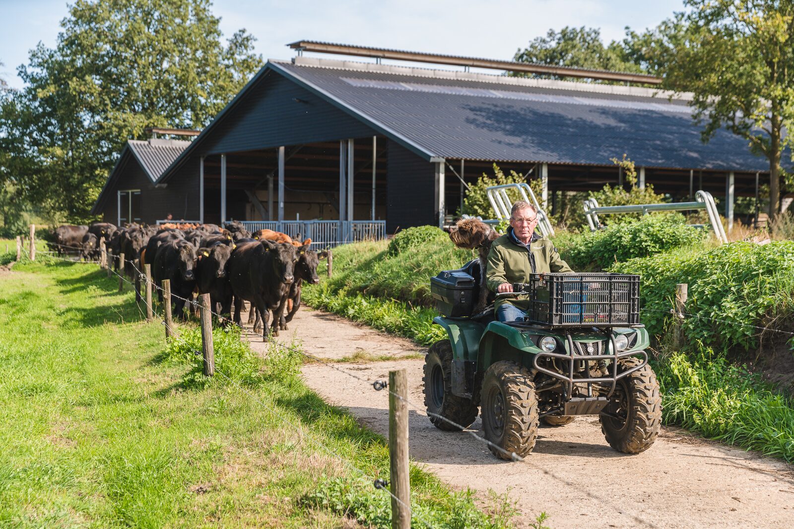 2 Reggehooiberg vakantiehuisjes