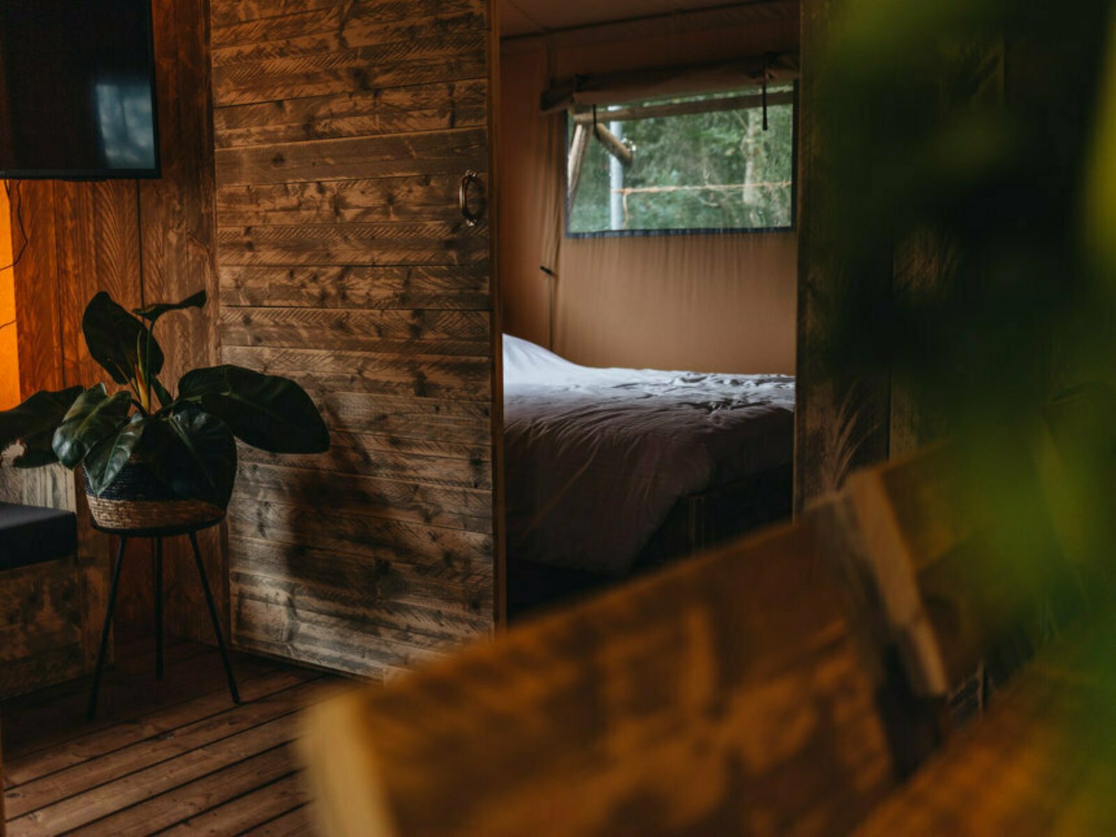 Vechtglamping Lodge