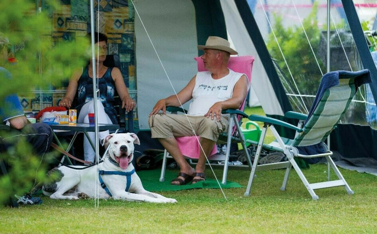 Camping pitch