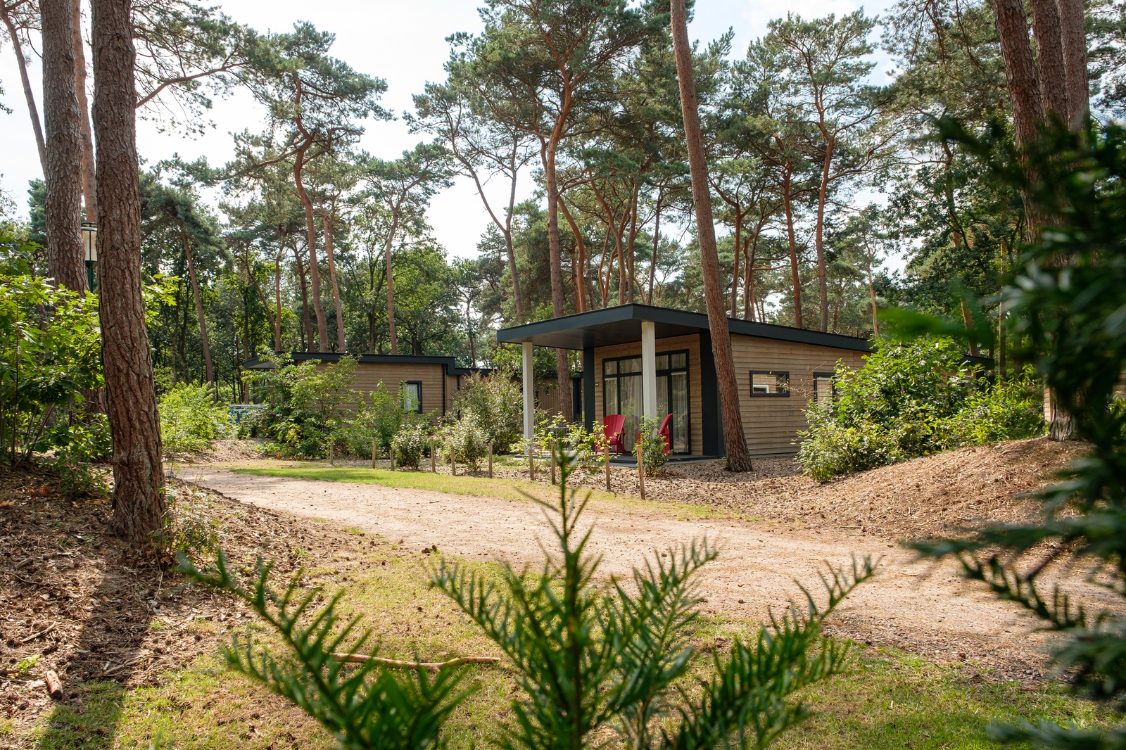 Bospark chalet | 6 persoons