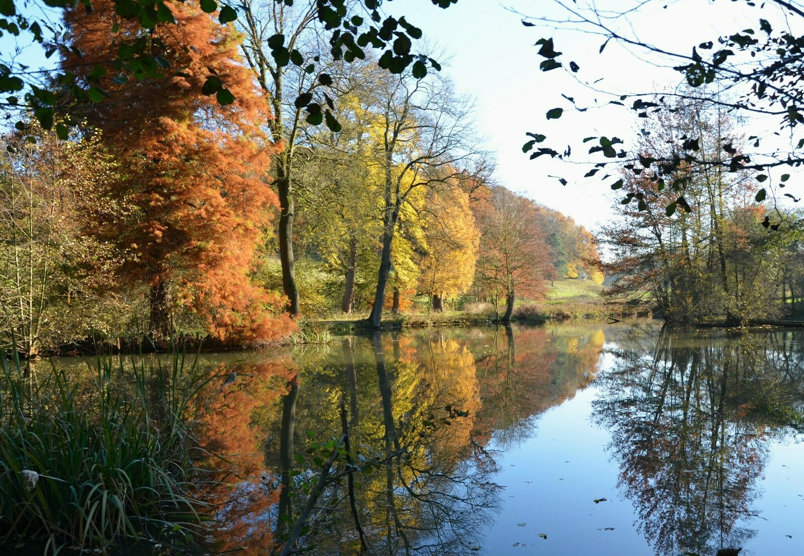 Chateau Cortils - Orangerie