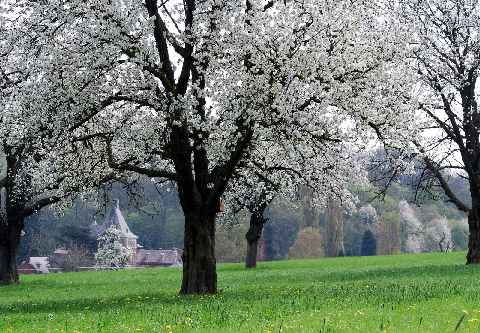 Chateau Cortils - Orangerie