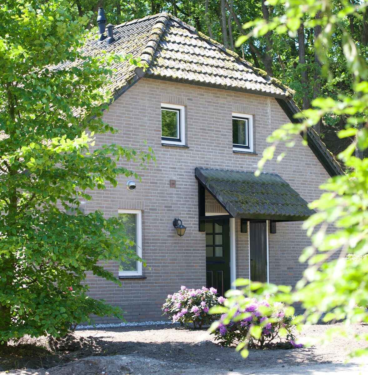 Basic Farm House