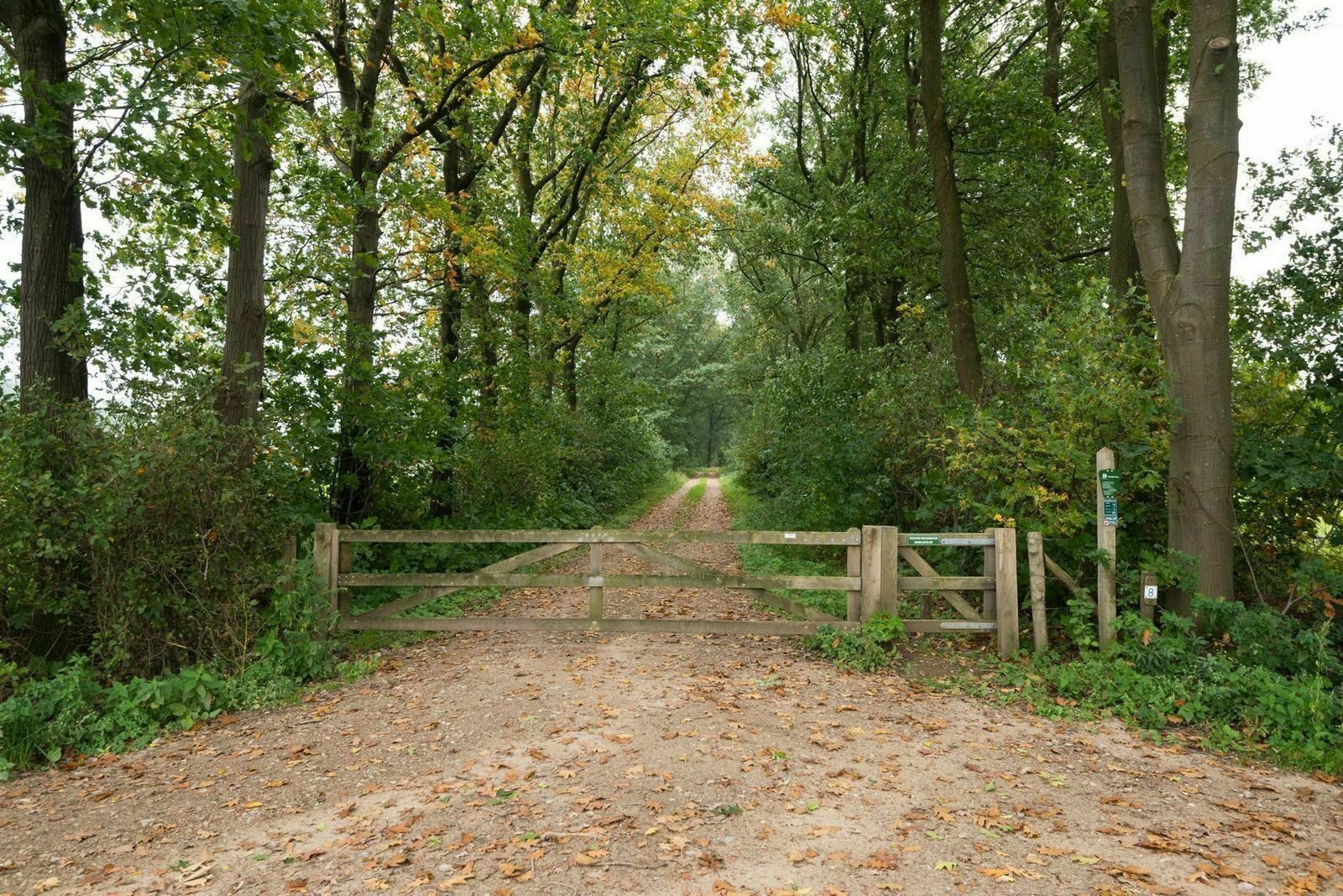 Boshoeve - luxe wellness vakantiehuis in de natuur