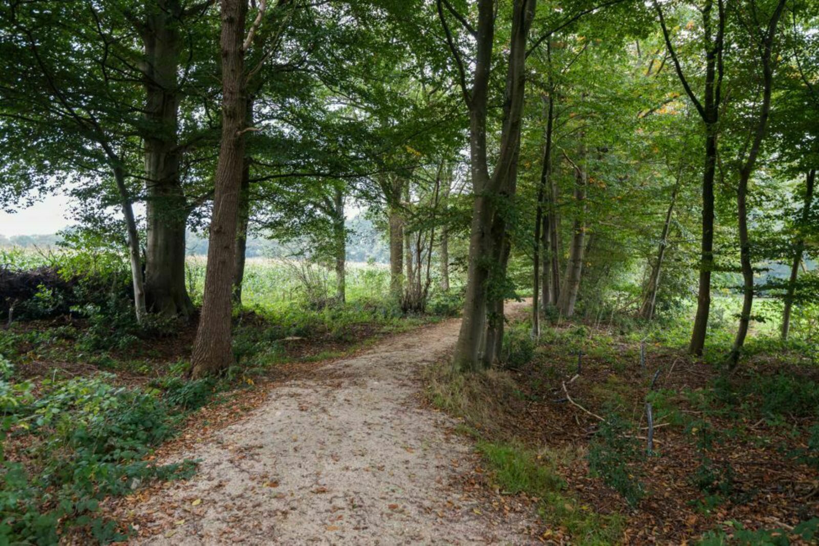 Boshoeve - luxe wellness vakantiehuis in de natuur