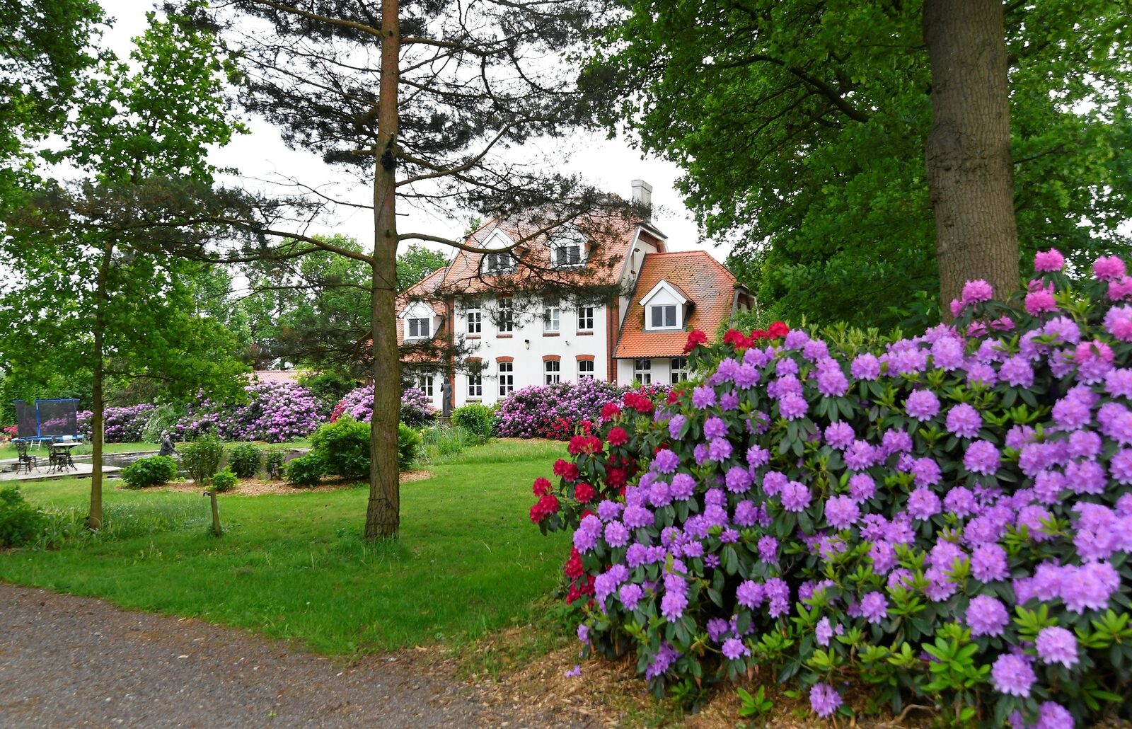 Landhuis Wielen XXL I wellness vakantiehuis voor 18 personen
