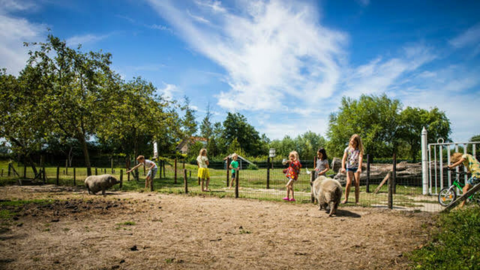 Ferienhaus - Kon. Emmaweg 26 | Vrouwenpolder 'Uitspanning Oranjezon' 