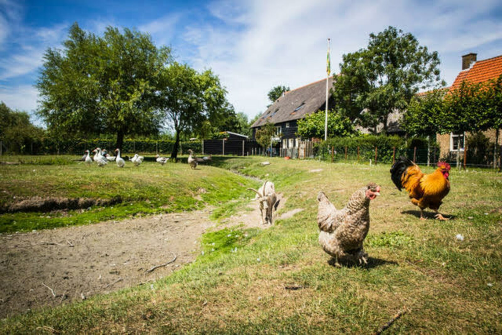 Ferienhaus - Kon. Emmaweg 26 | Vrouwenpolder 'Uitspanning Oranjezon' 
