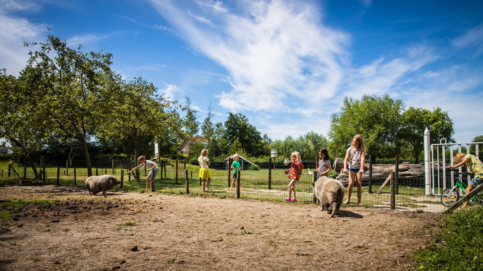 Ferienwohnung - Kon. Emmaweg 26 | Vrouwenpolder 'Uitspanning Oranjezon'  